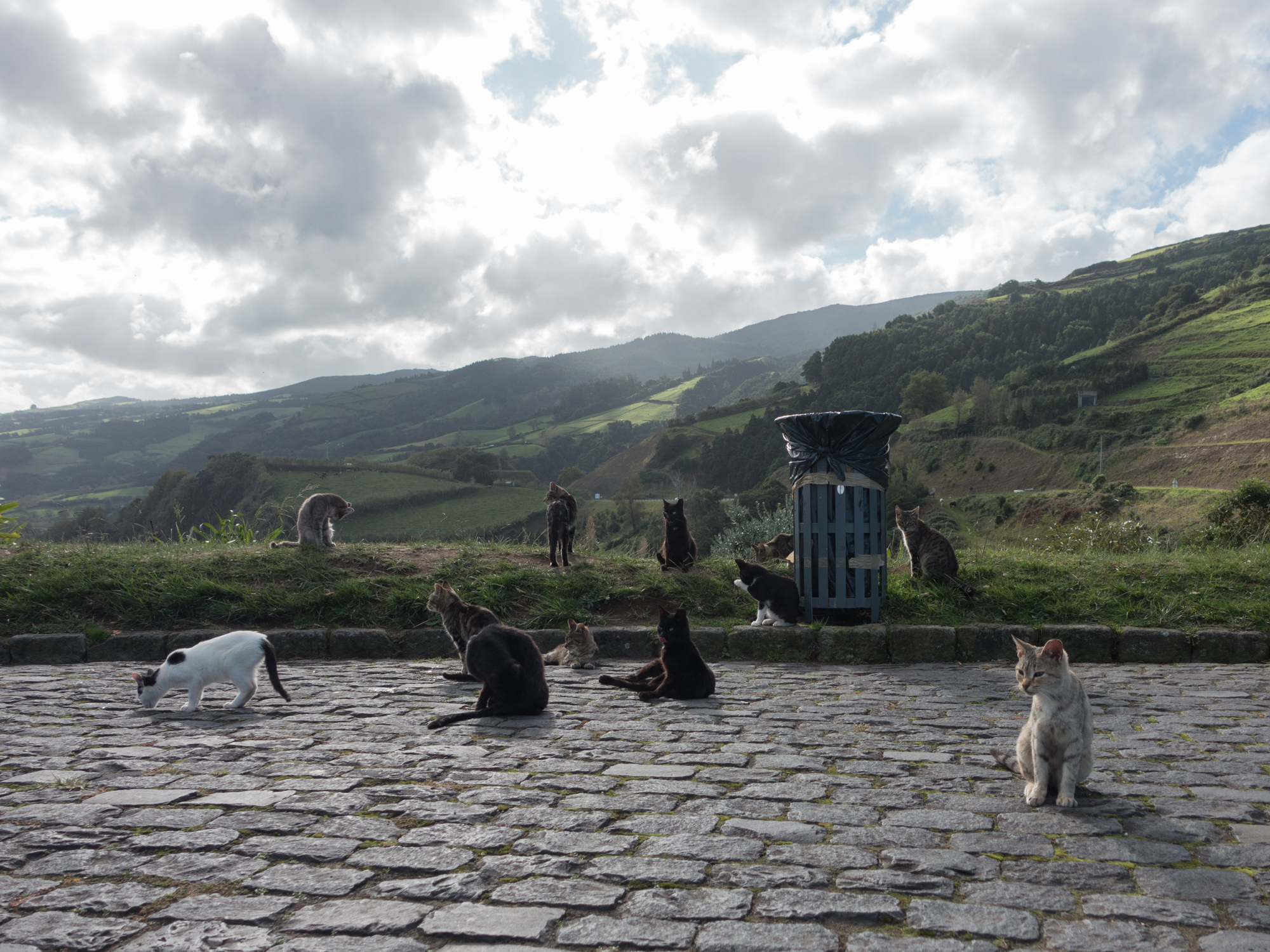 Miradouro de Santa Iria par Francis Traunig