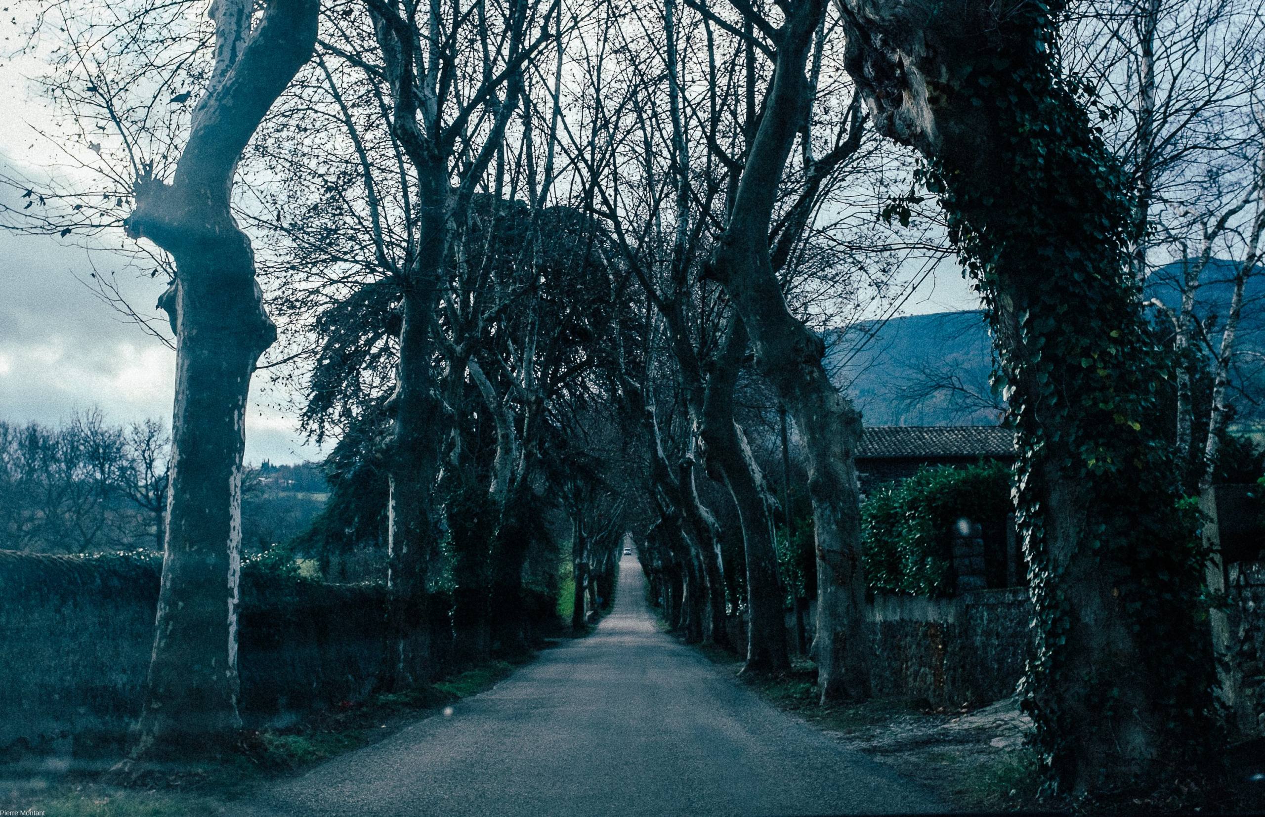 Une route en Ardèche par Pierre Montant