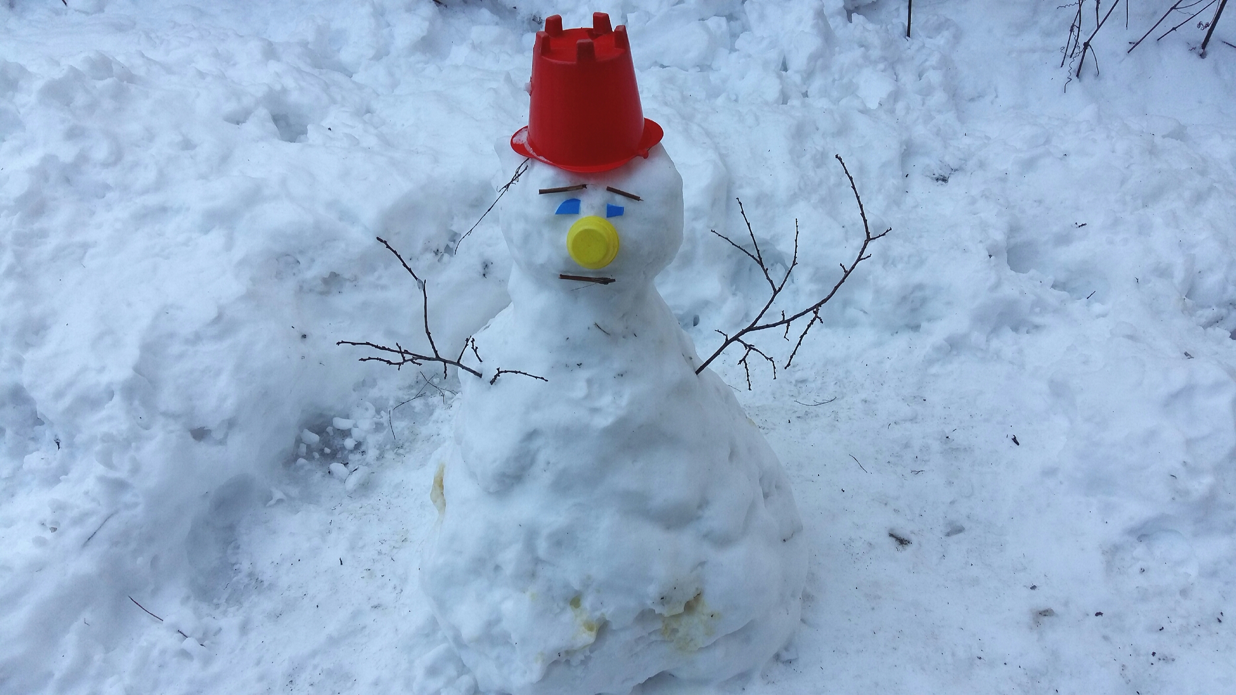 snowman par Lucian Muntean