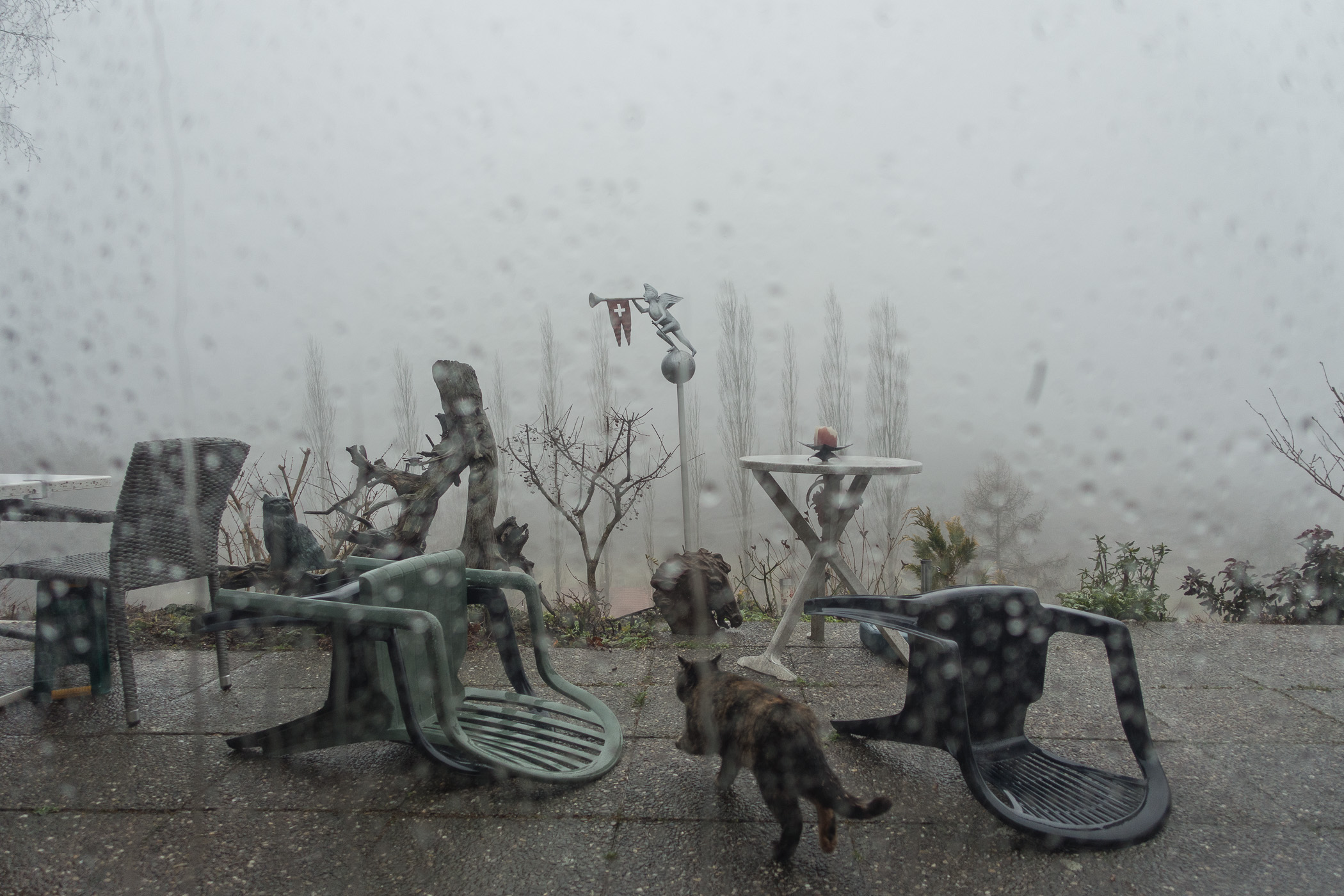 Tempête par Francis Traunig