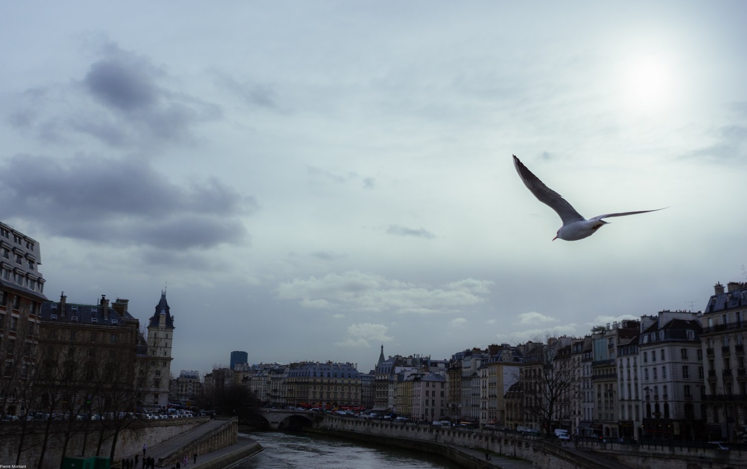 des jours sans par Pierre Montant