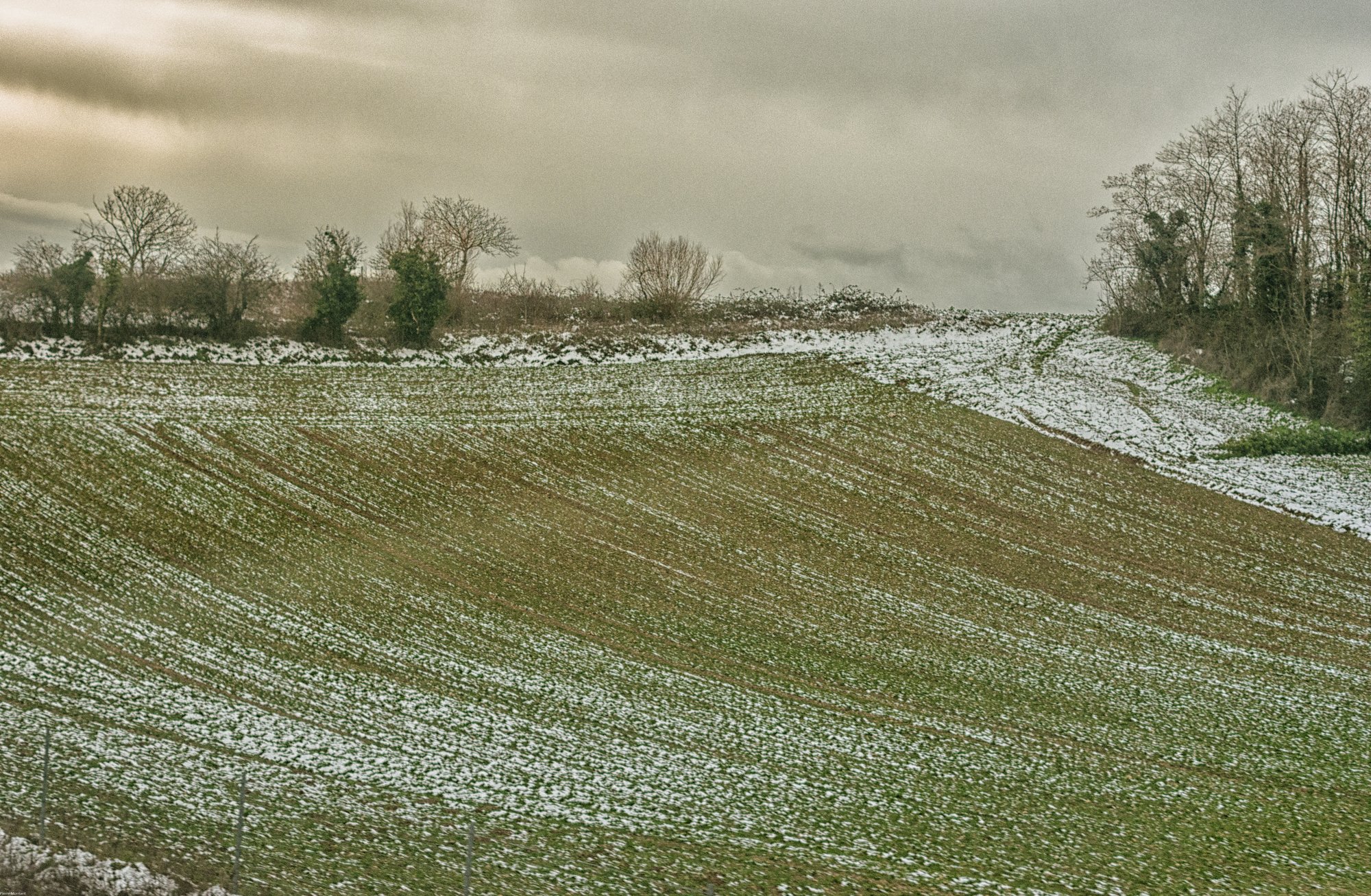 en direction du sud par Pierre Montant