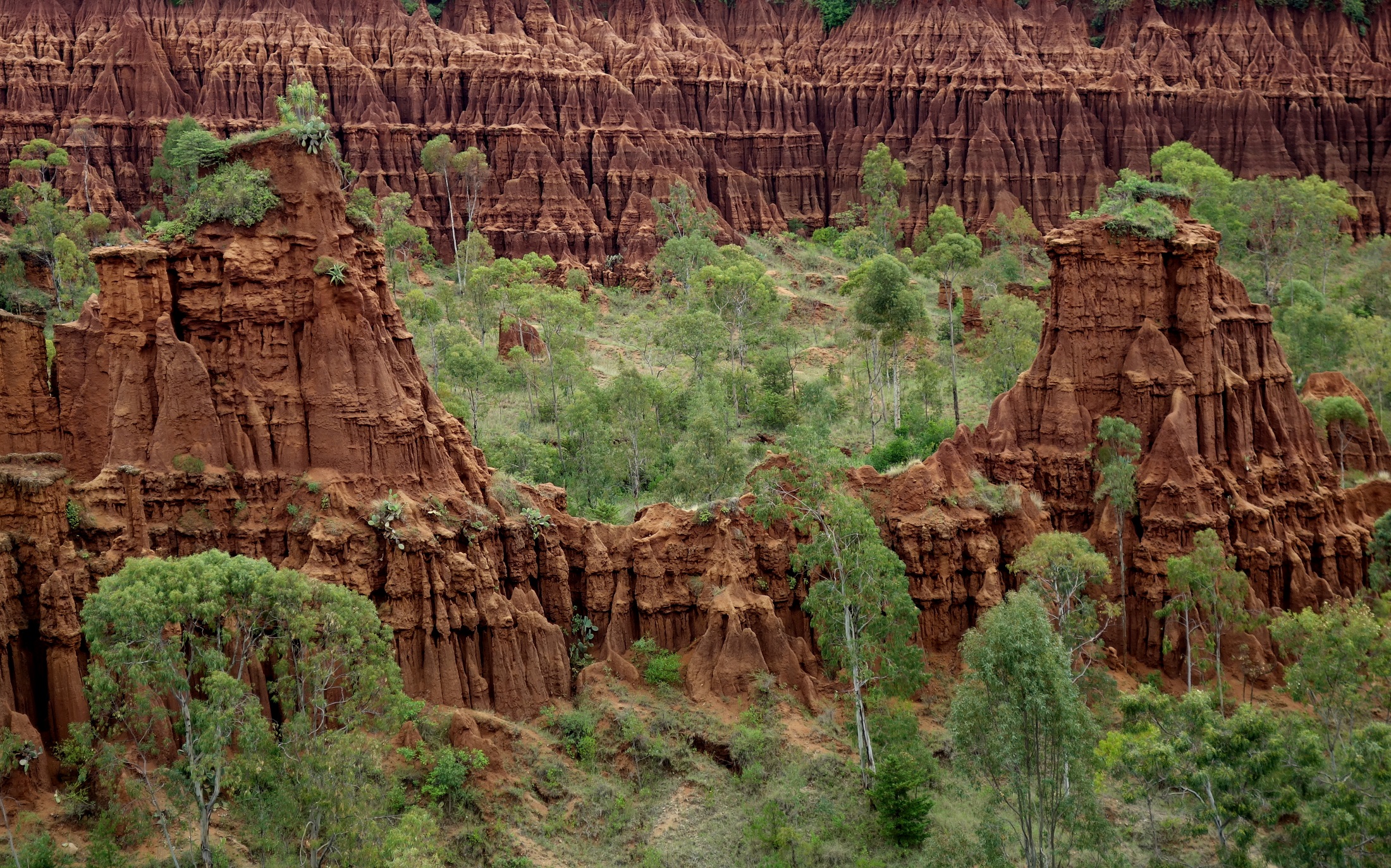 New York en pays Konso par John Grinling