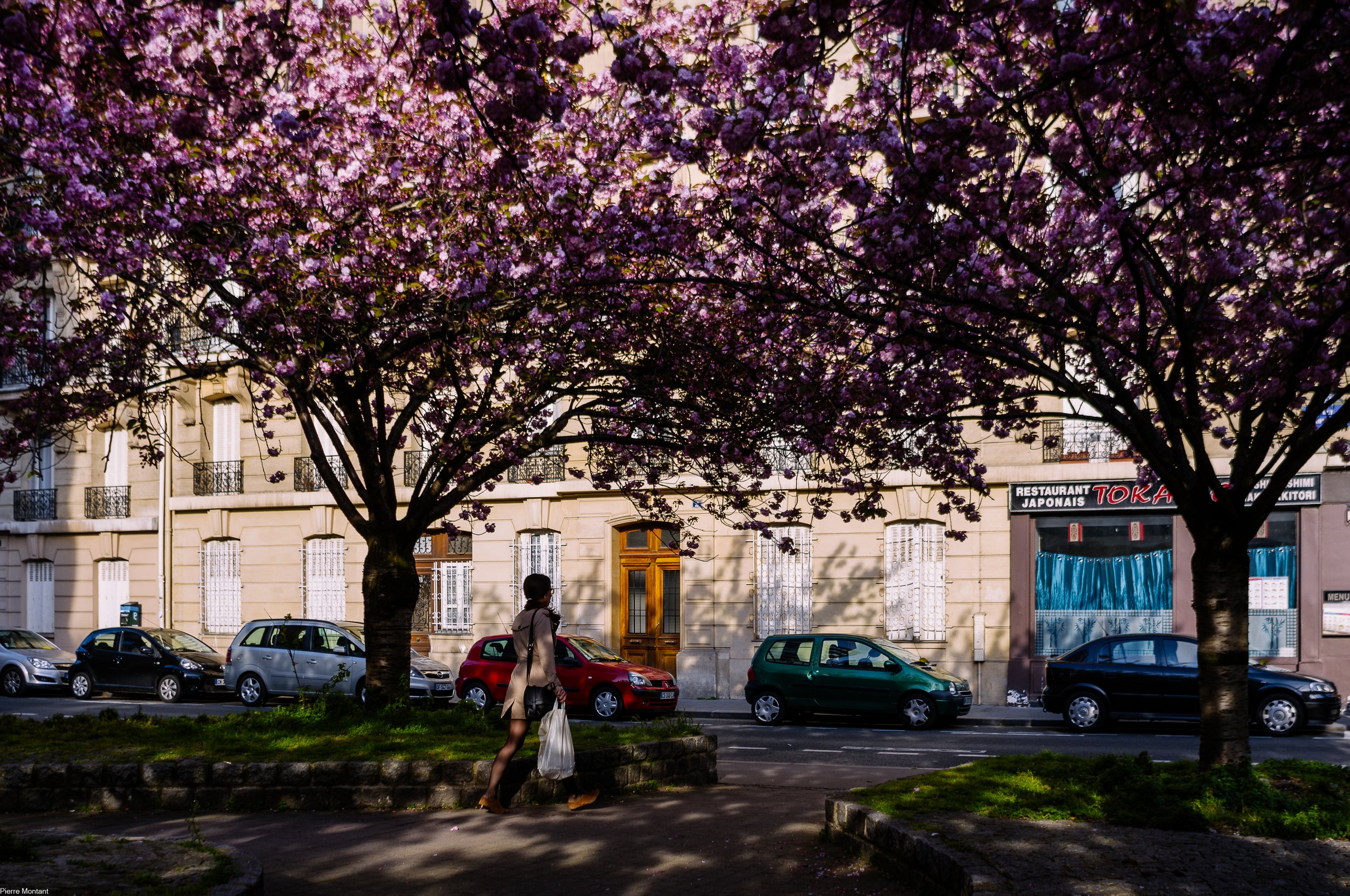 le printemps par Pierre Montant