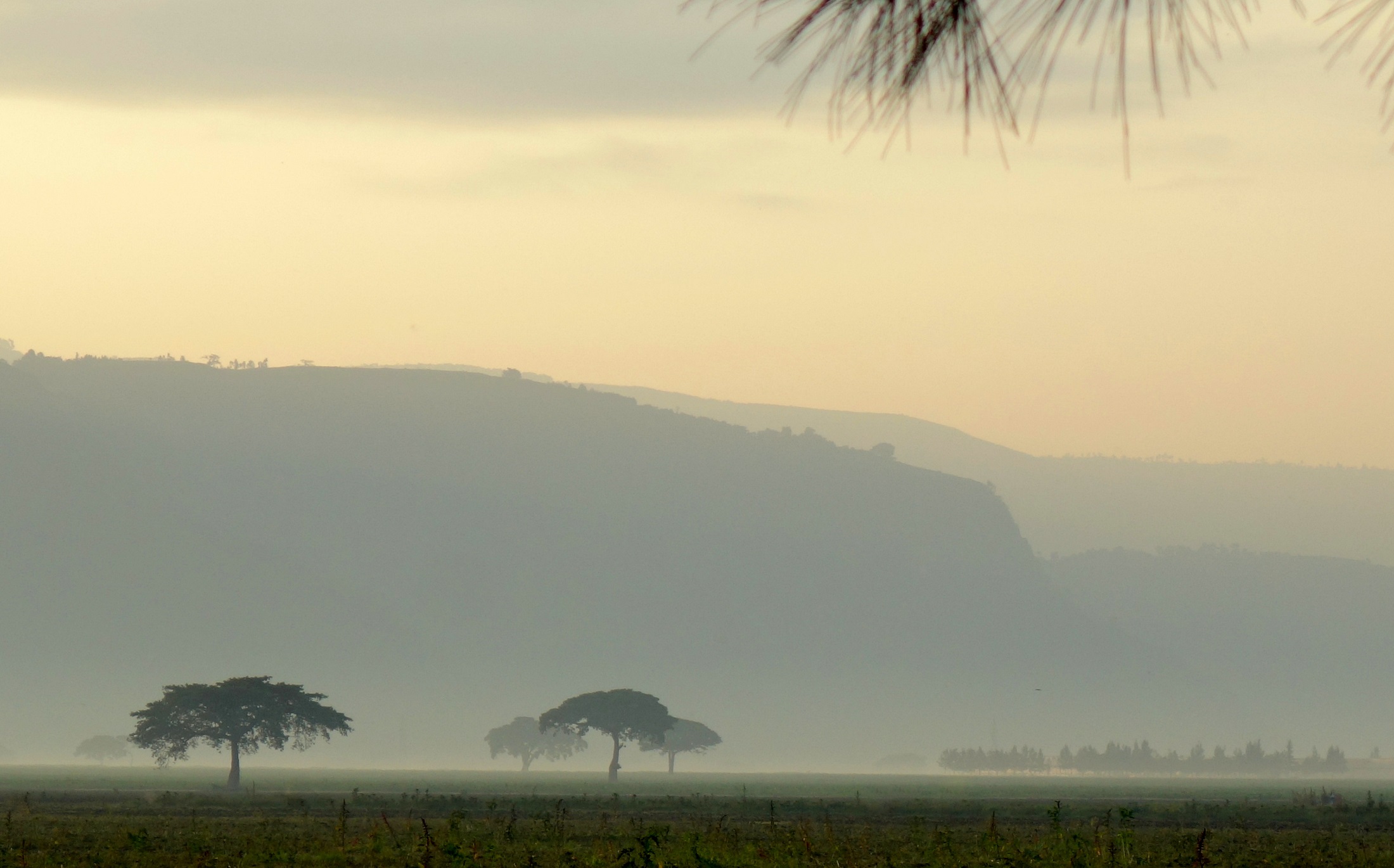 Vers Shashamane par John Grinling