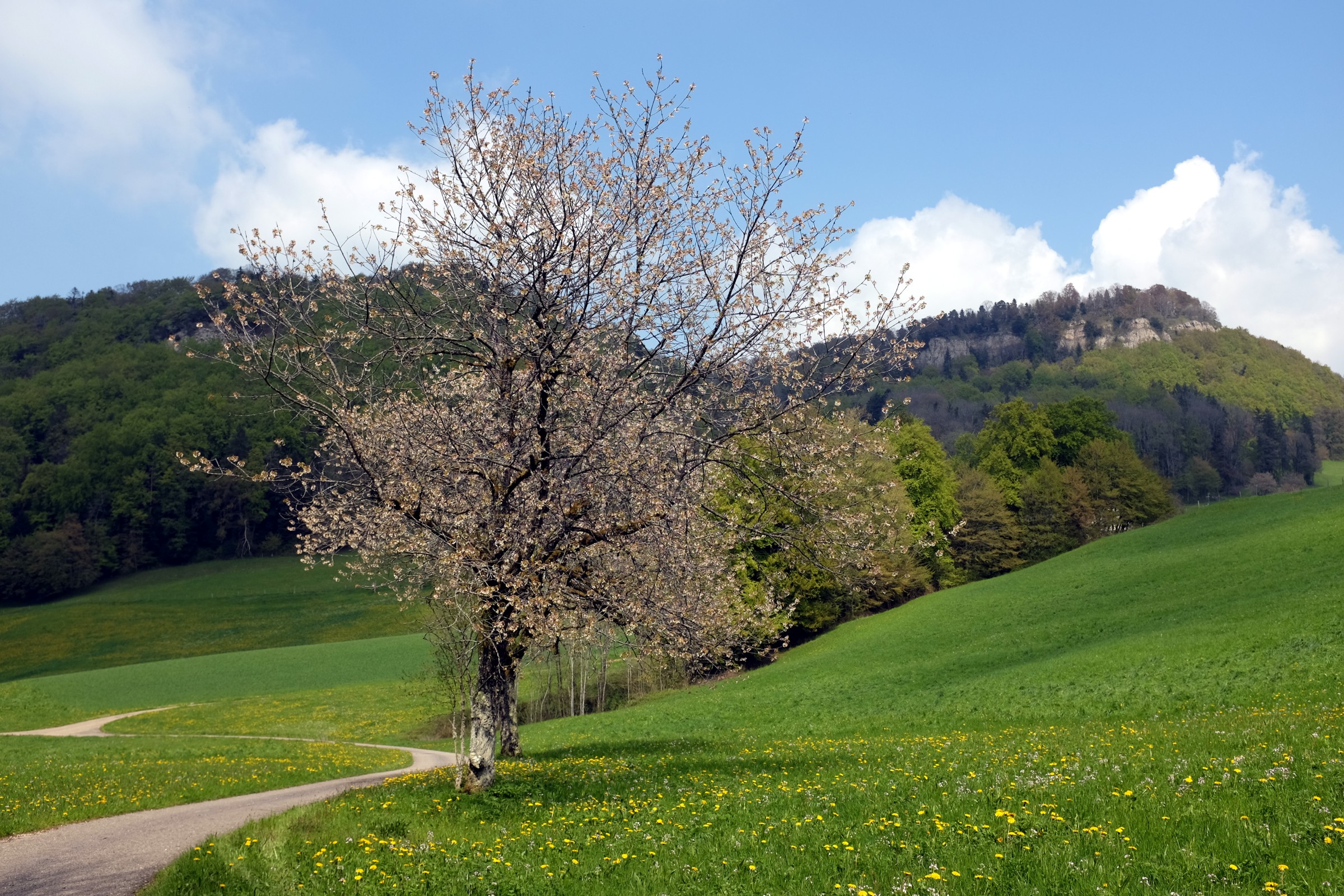 camps de Jules Cesar par Catherine Claude