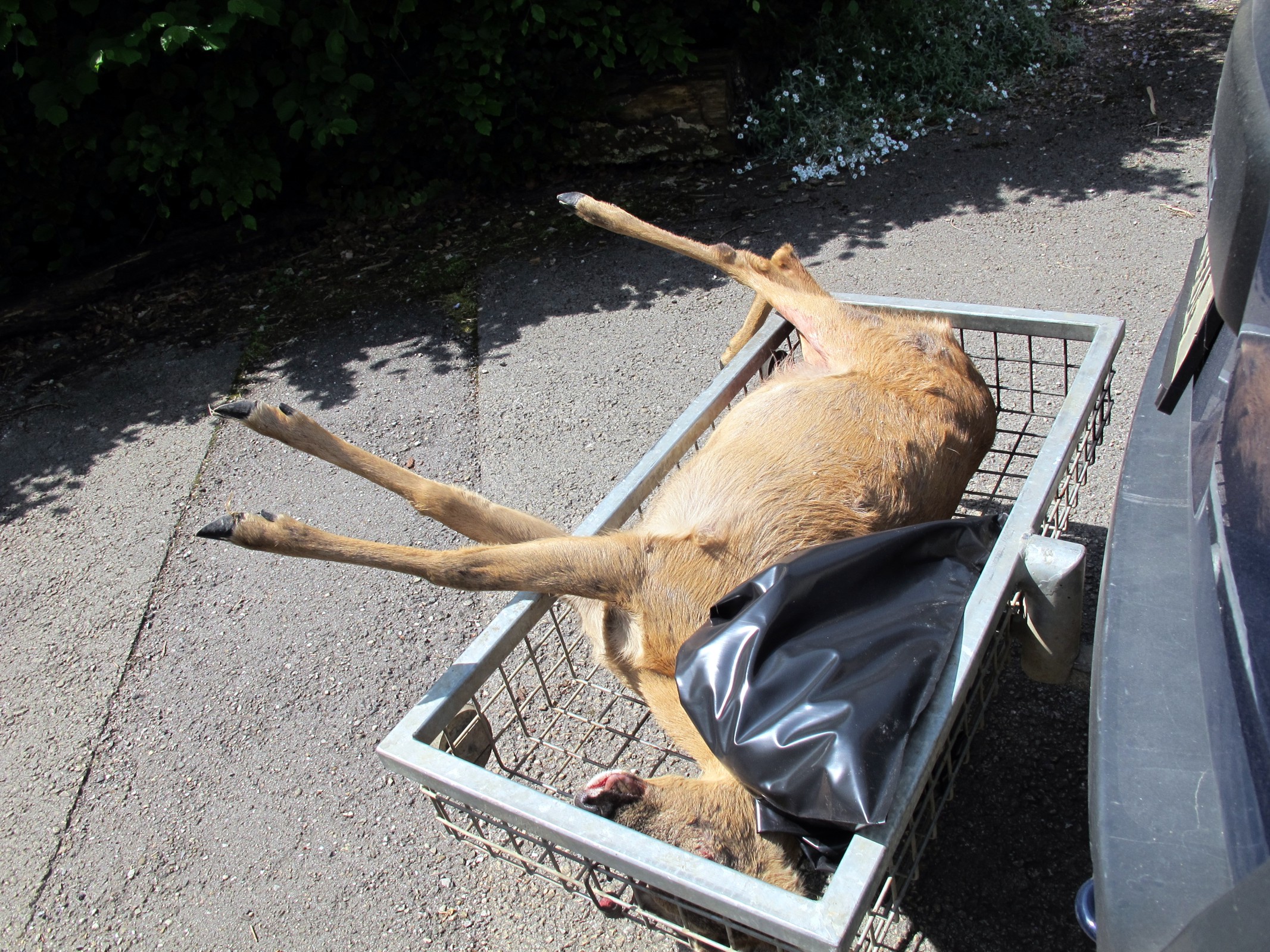 accident de la route par Catherine Claude