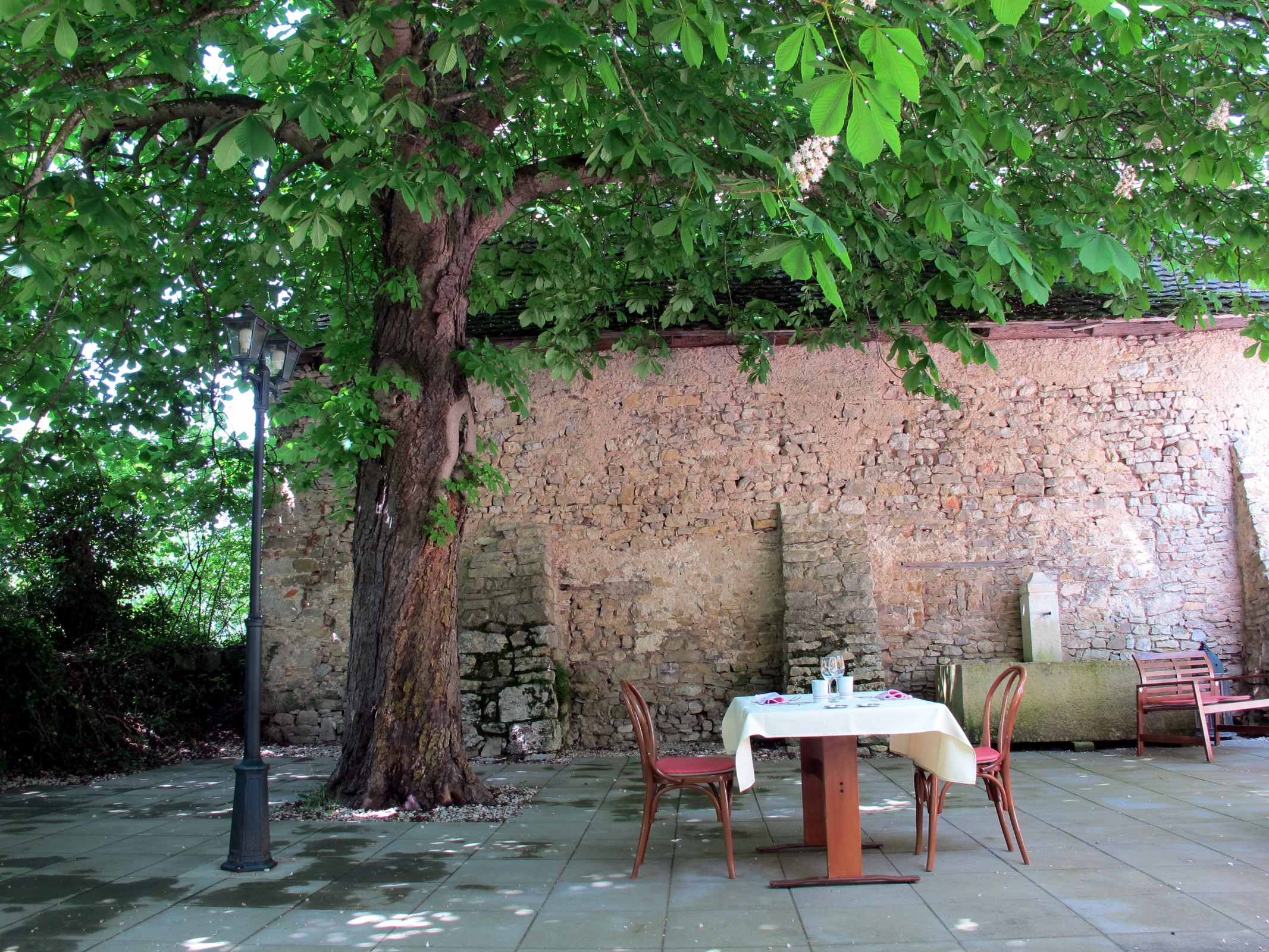 rdv sous le marronnier par Catherine Claude