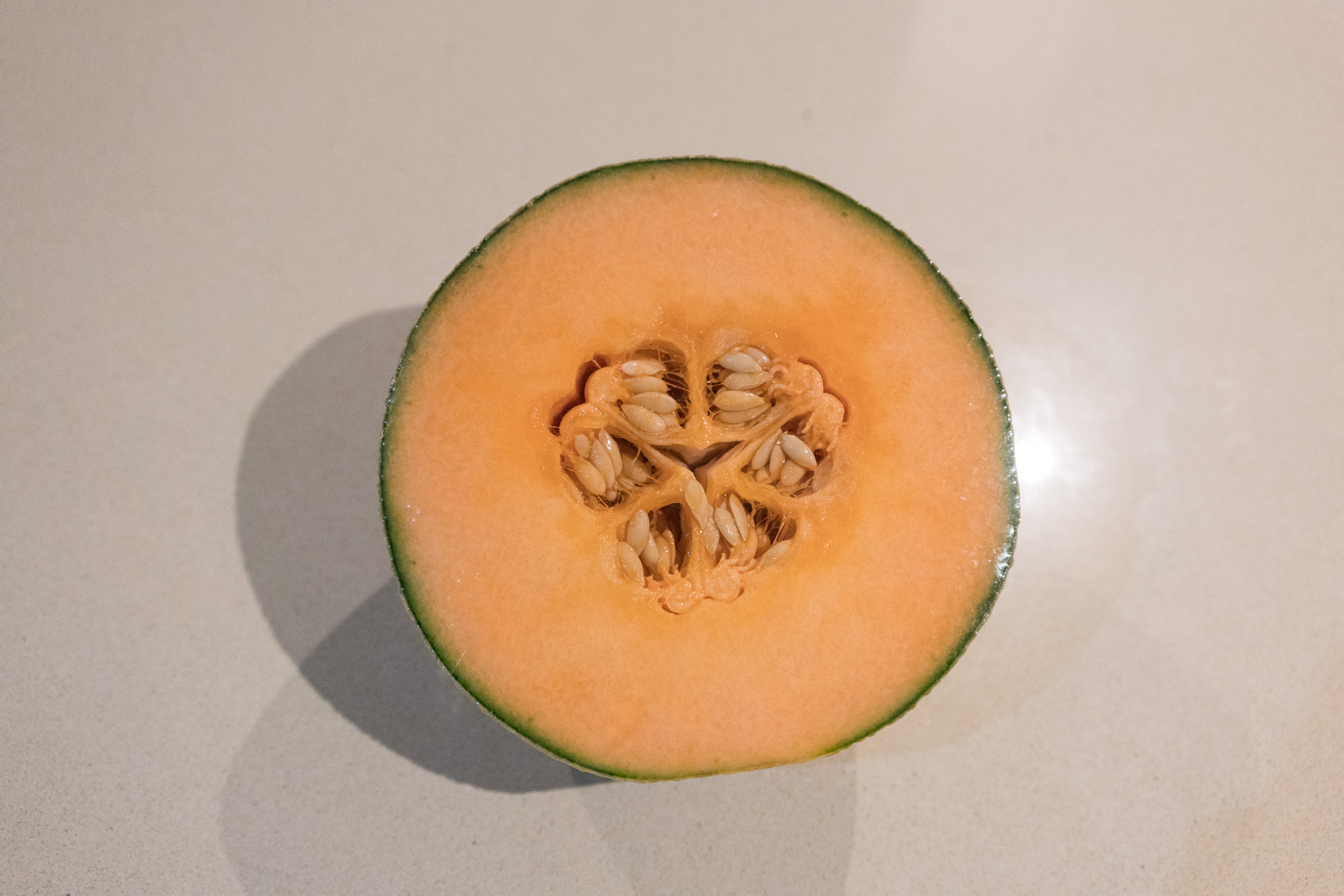 Cantaloupe or Rockmelon par Anna Salzmann