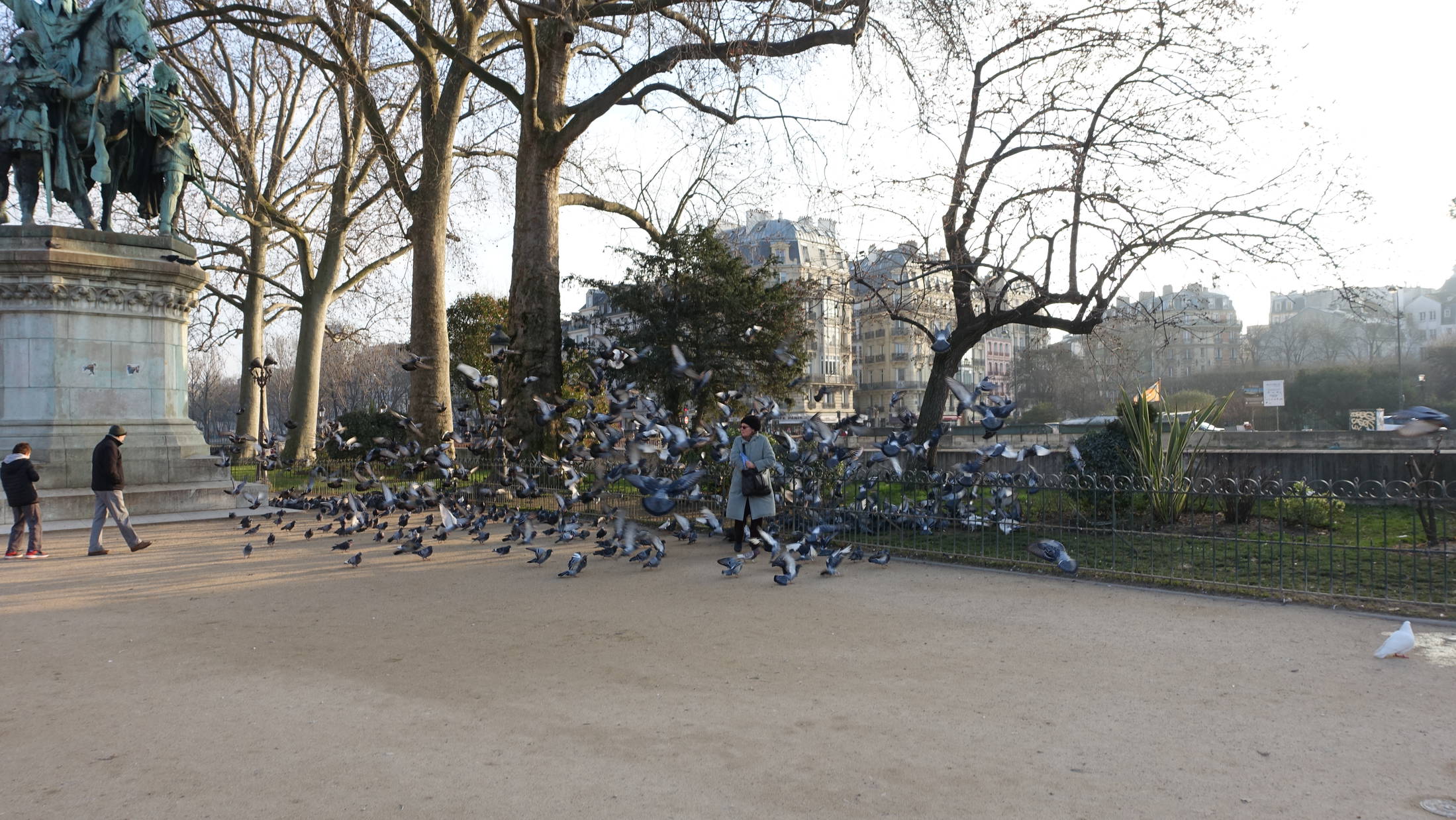 Madame pigeon par Juliette Salzmann