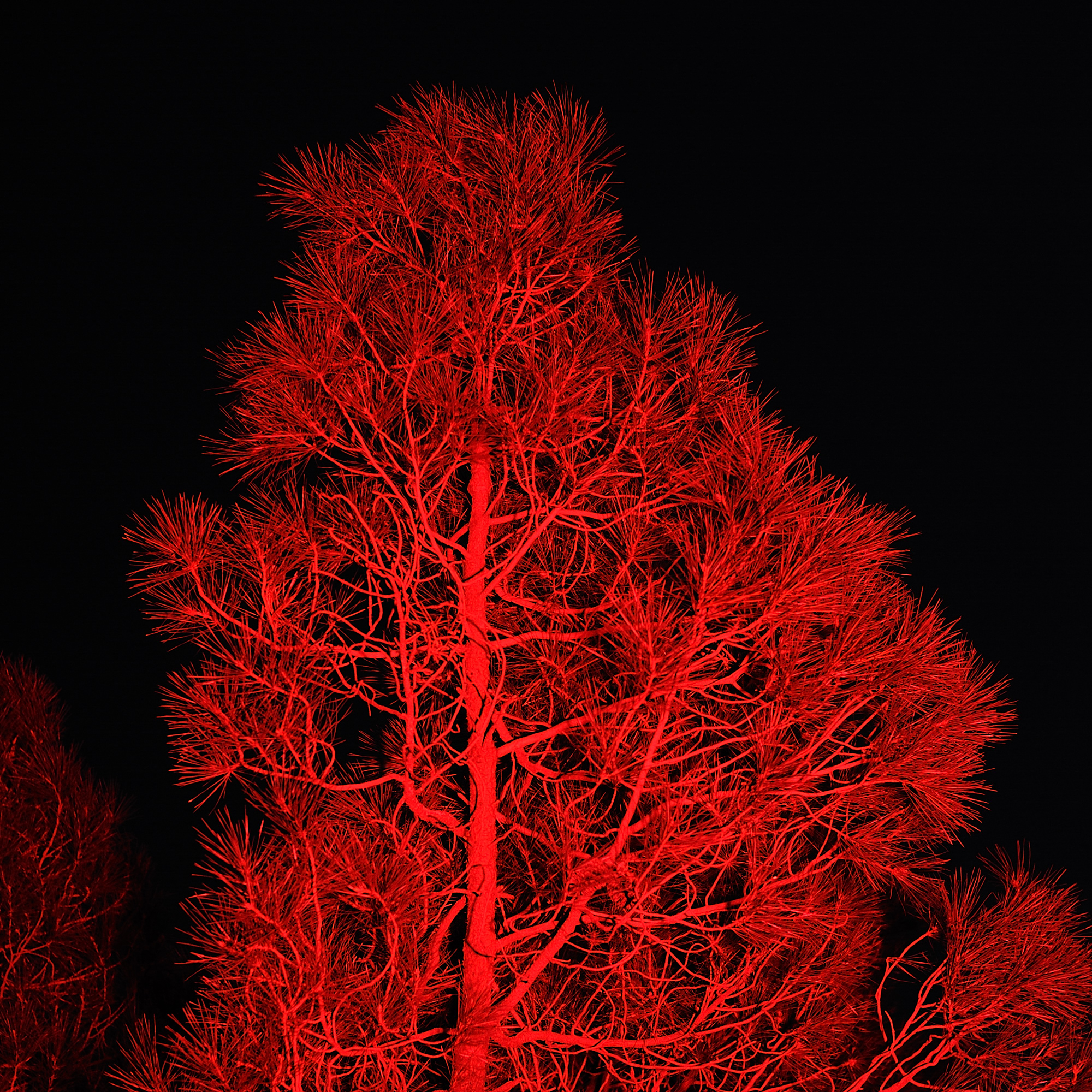 « red nature » par Antoine Bravar