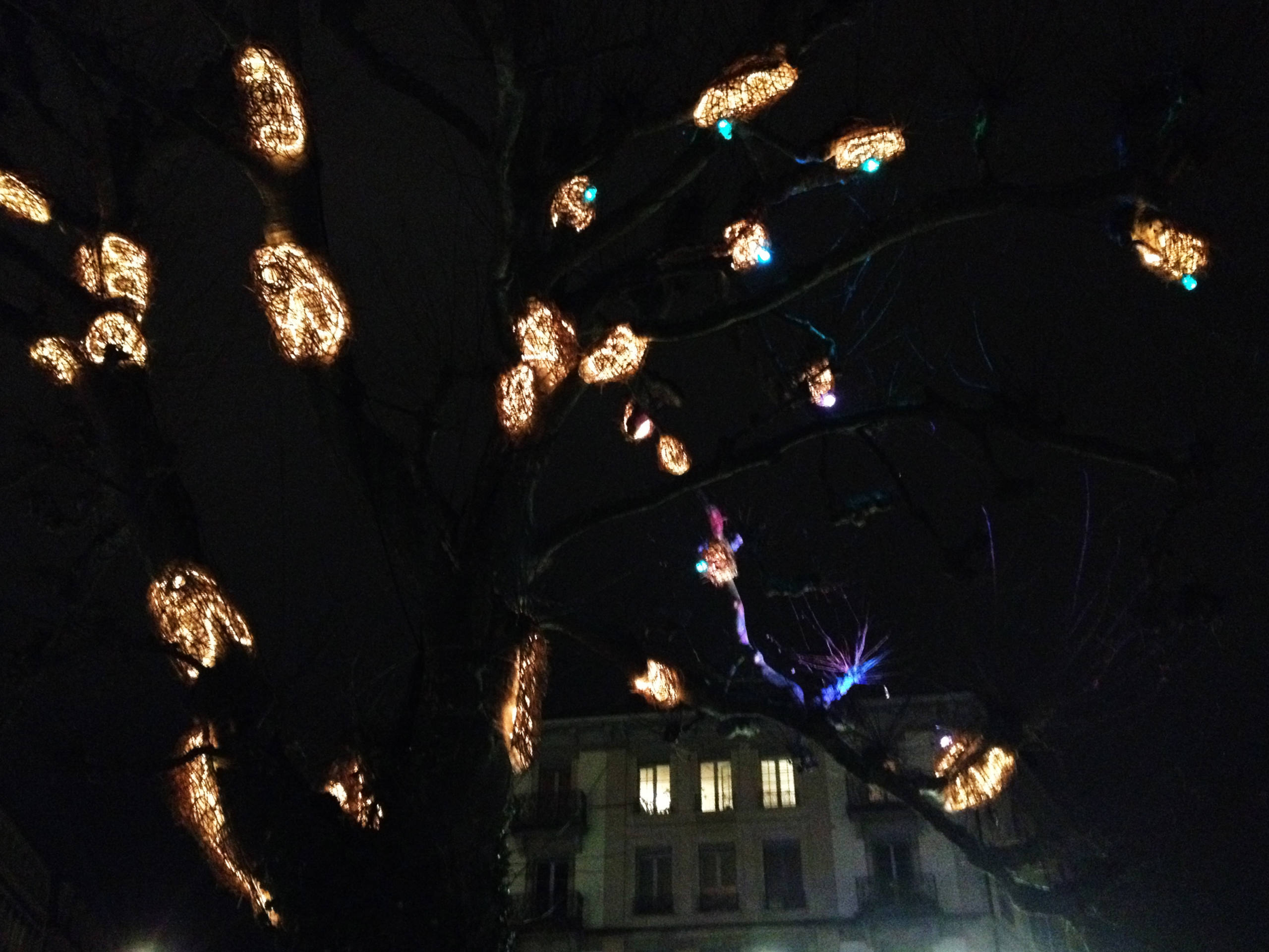 Geneva Lux bis par Justine Grespan