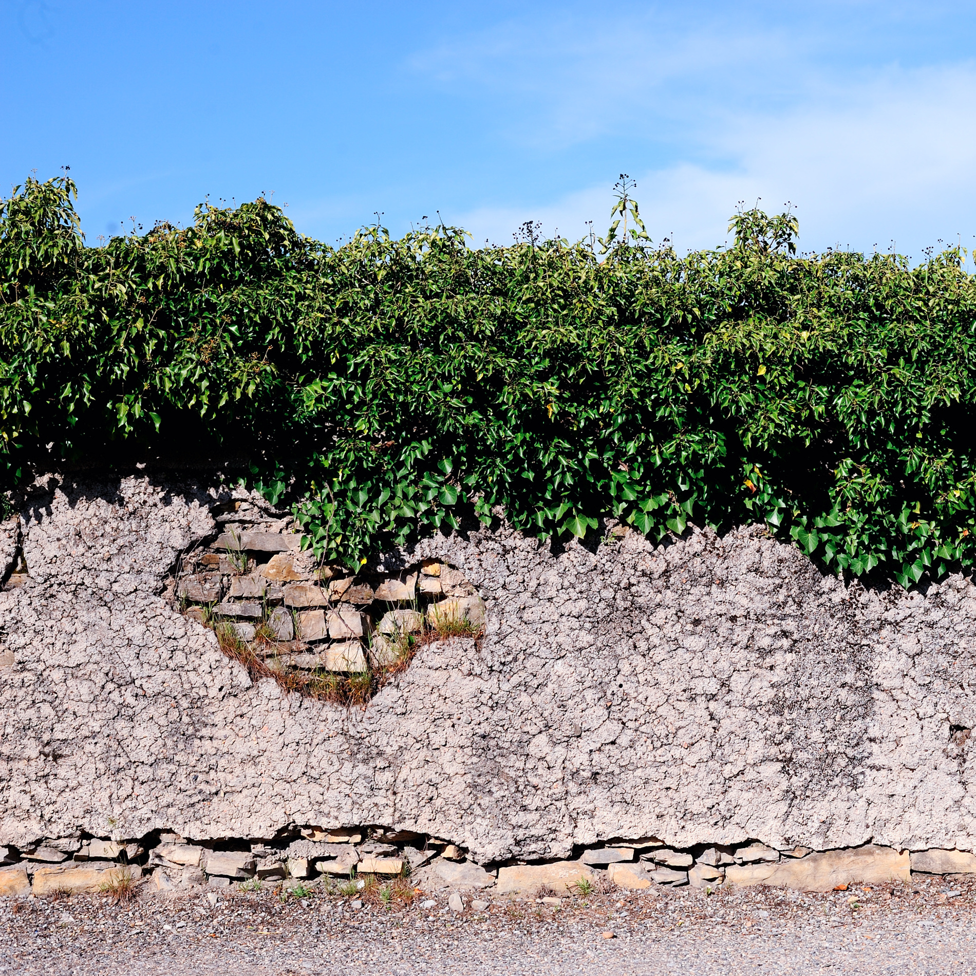 « gReEn WaLl » par Antoine Bravar