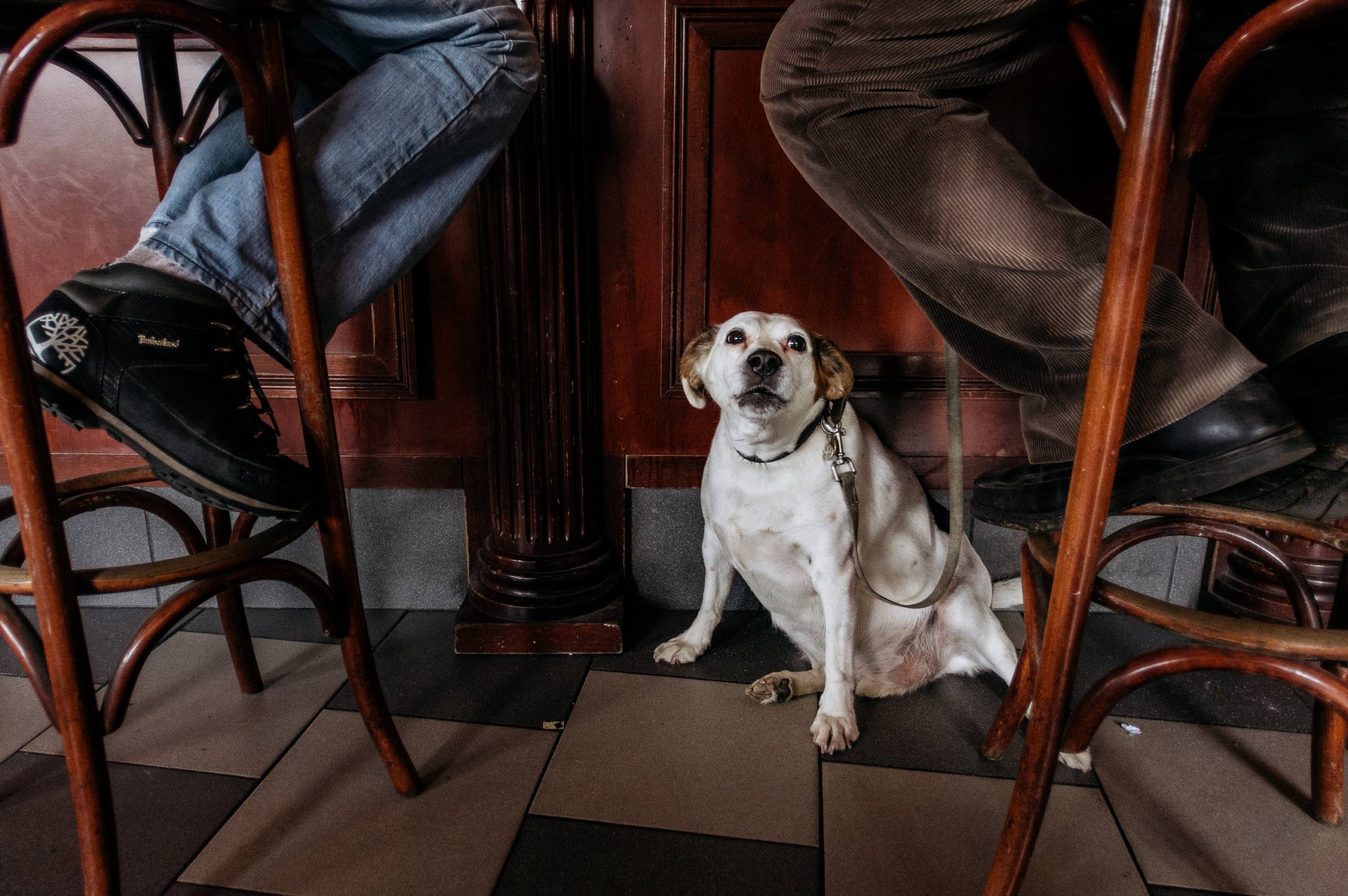 attendre papa par Pierre Montant