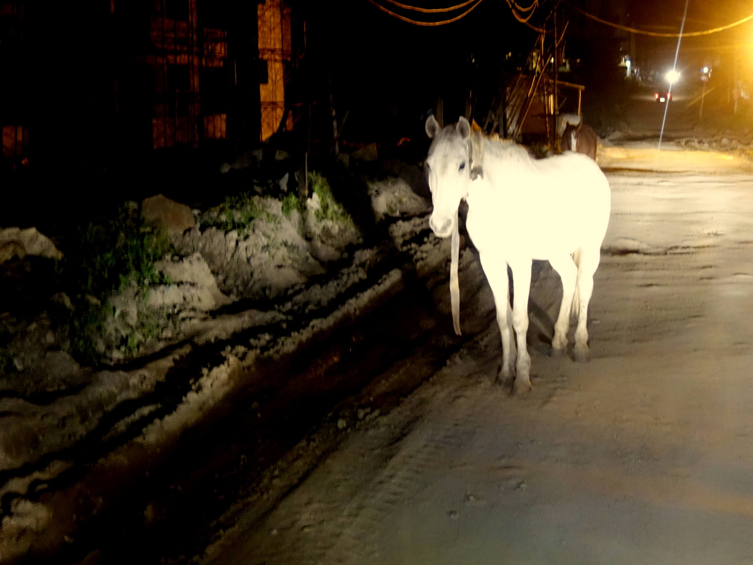 Ici on abandonne bien les chevaux par John Grinling