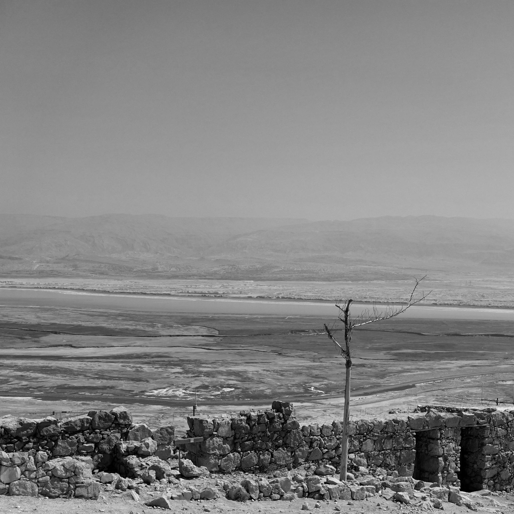 Dead Sea par Patricia Nisenbaum