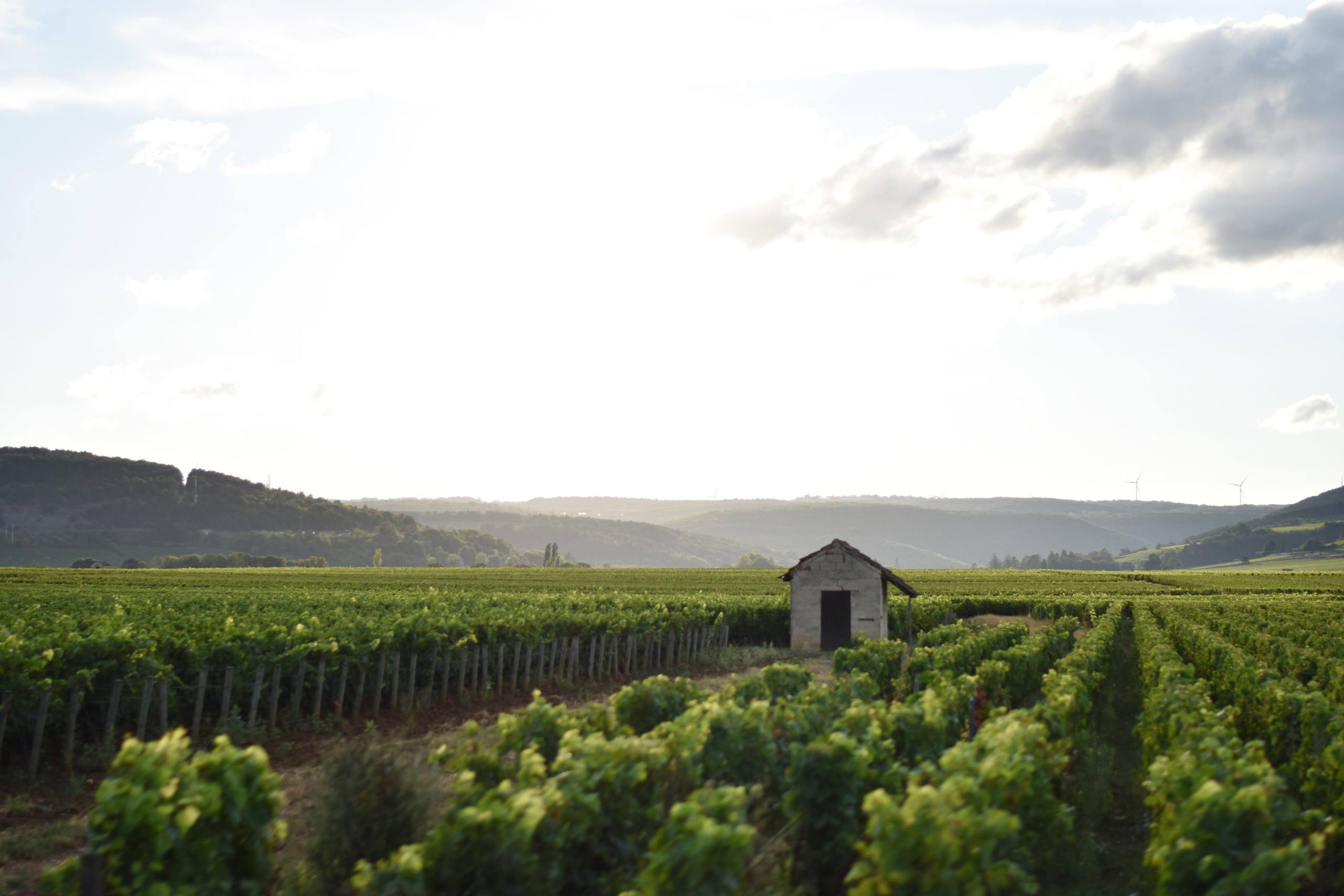 Bourgogne par Justine Grespan