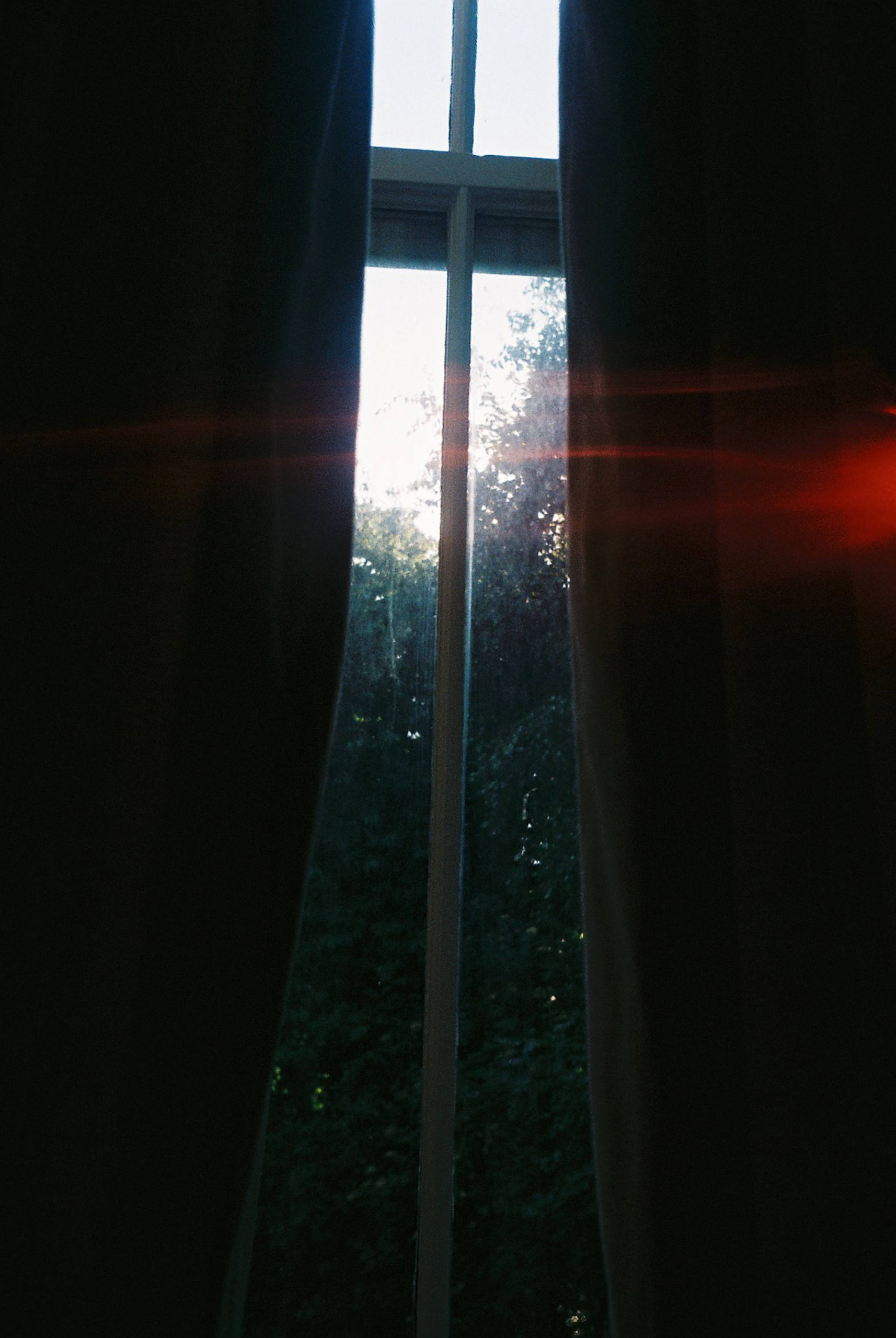 Back home par Anouk Schneider