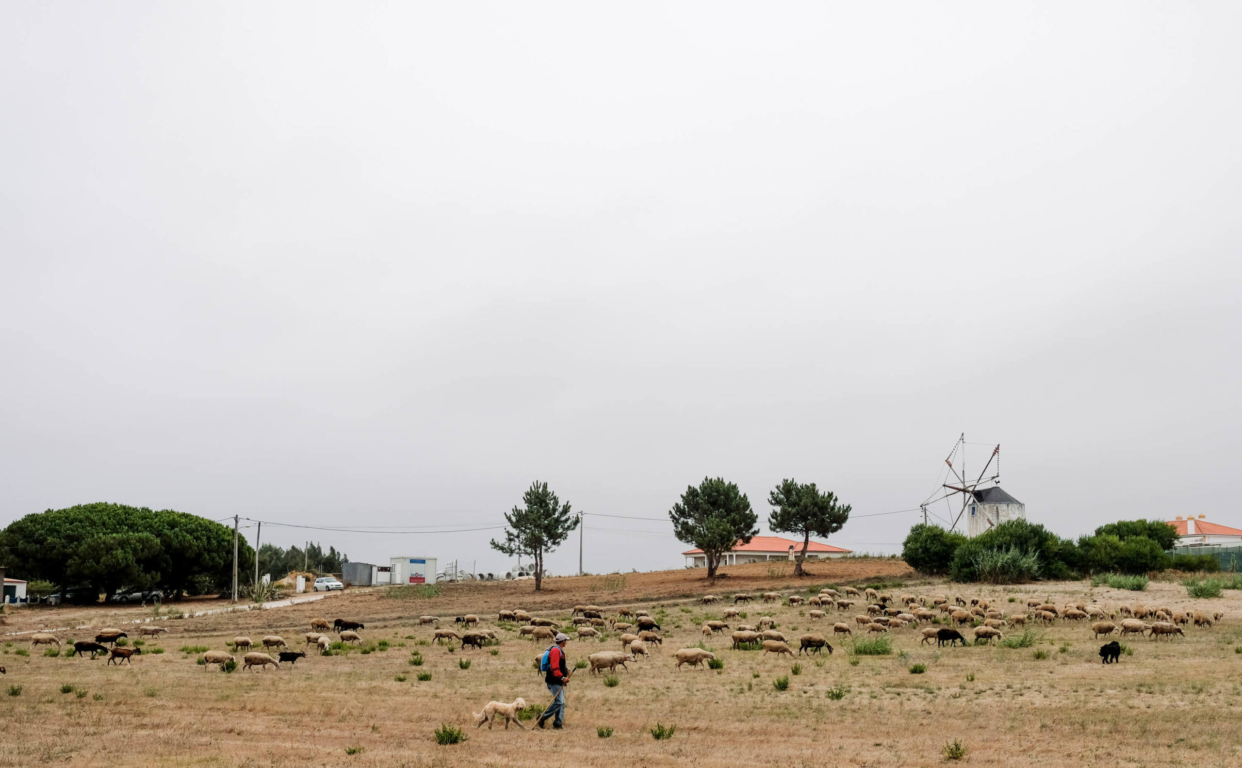 Pour compter les nuages et les moutons par Julie Fourel