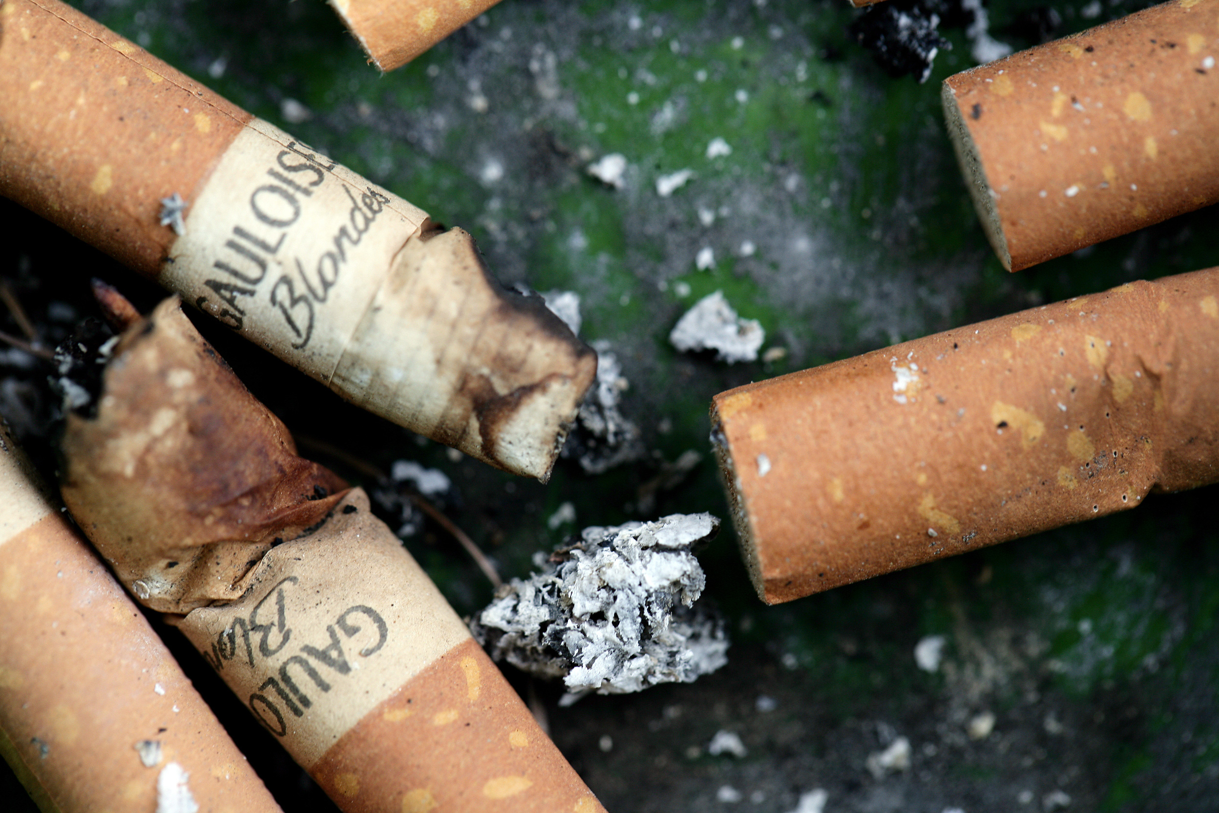 Gauloises Blondes par Anouk Schneider