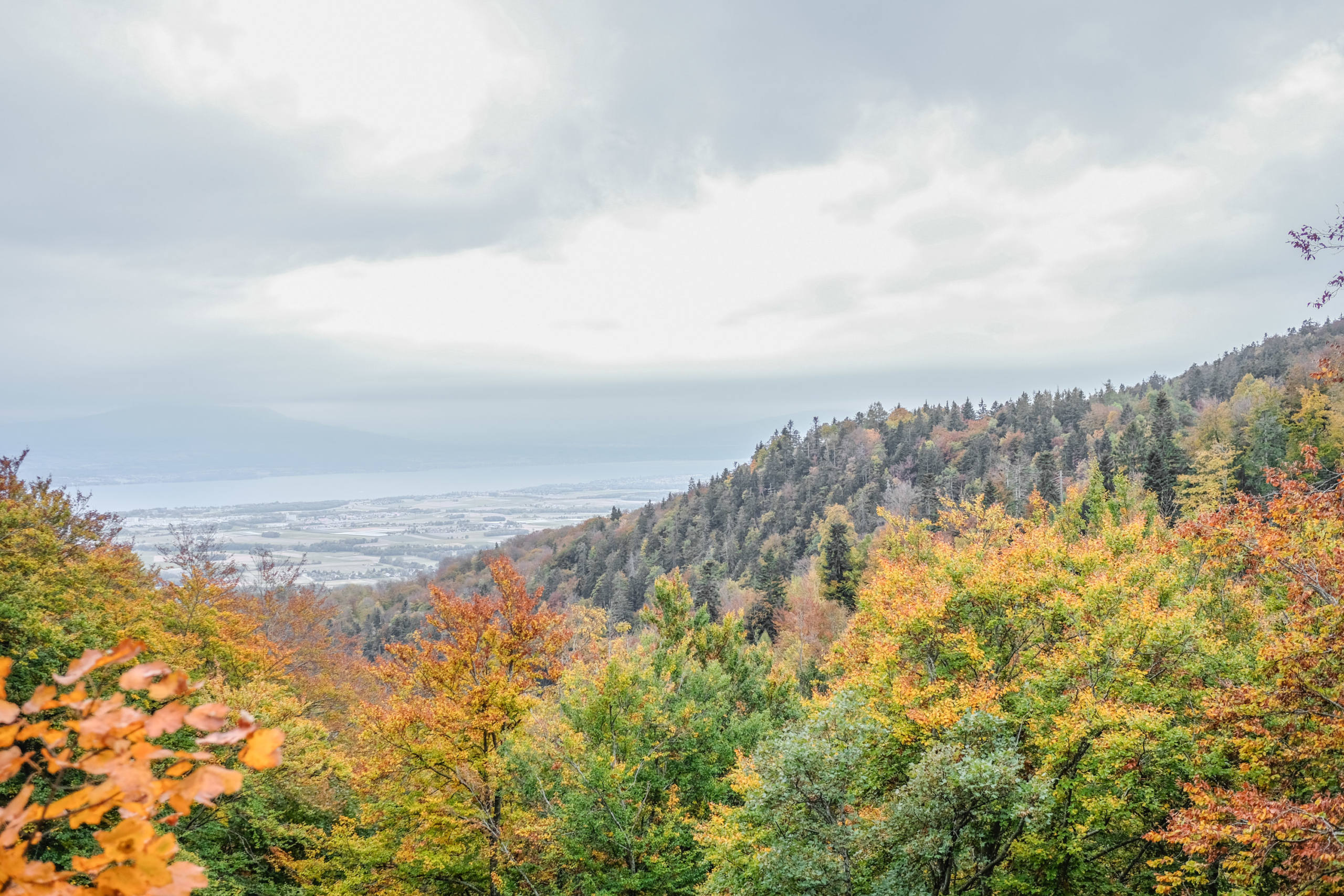 comme un dimanche d’air frais par Julie Fourel