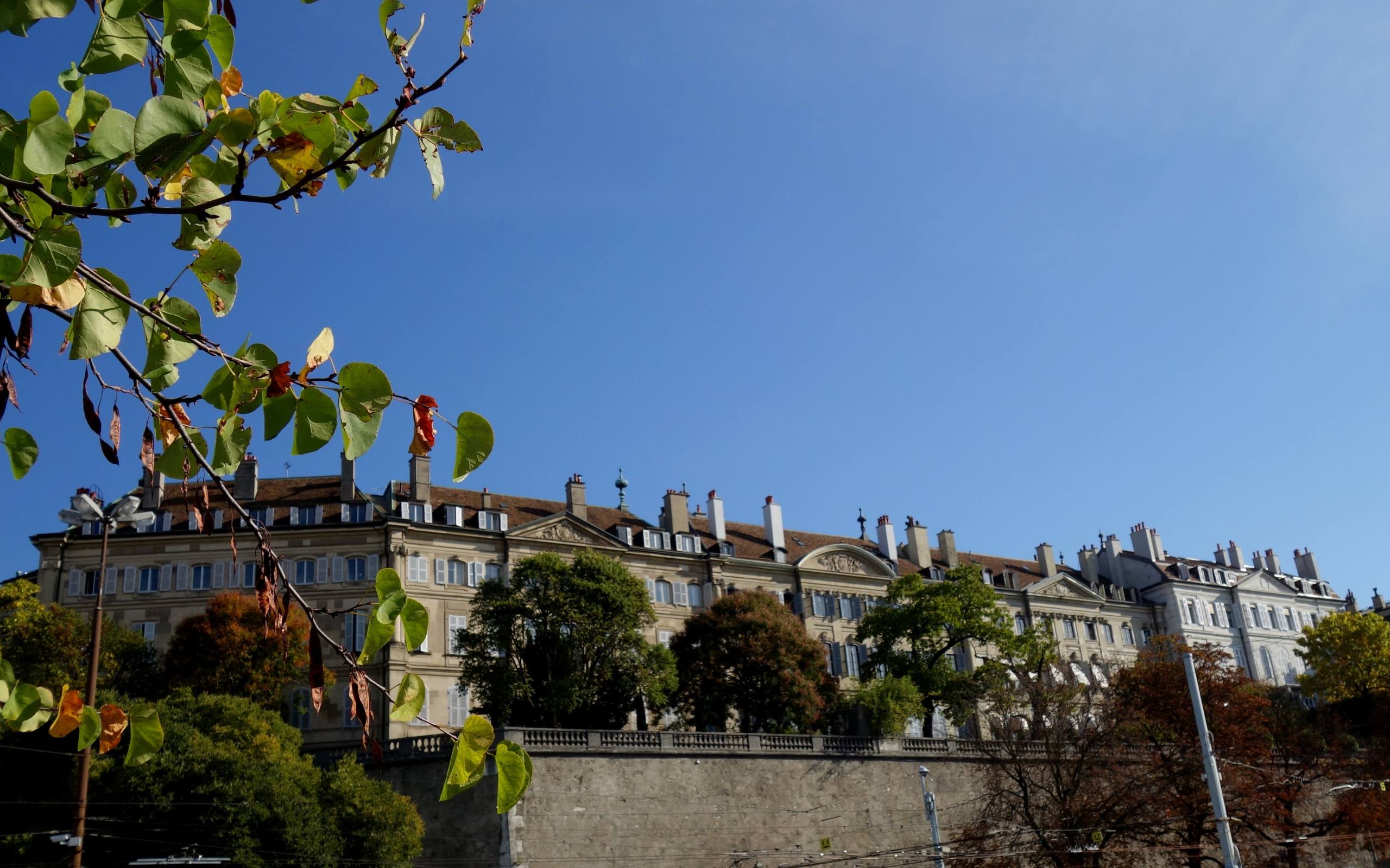 Les patriciens par John Grinling