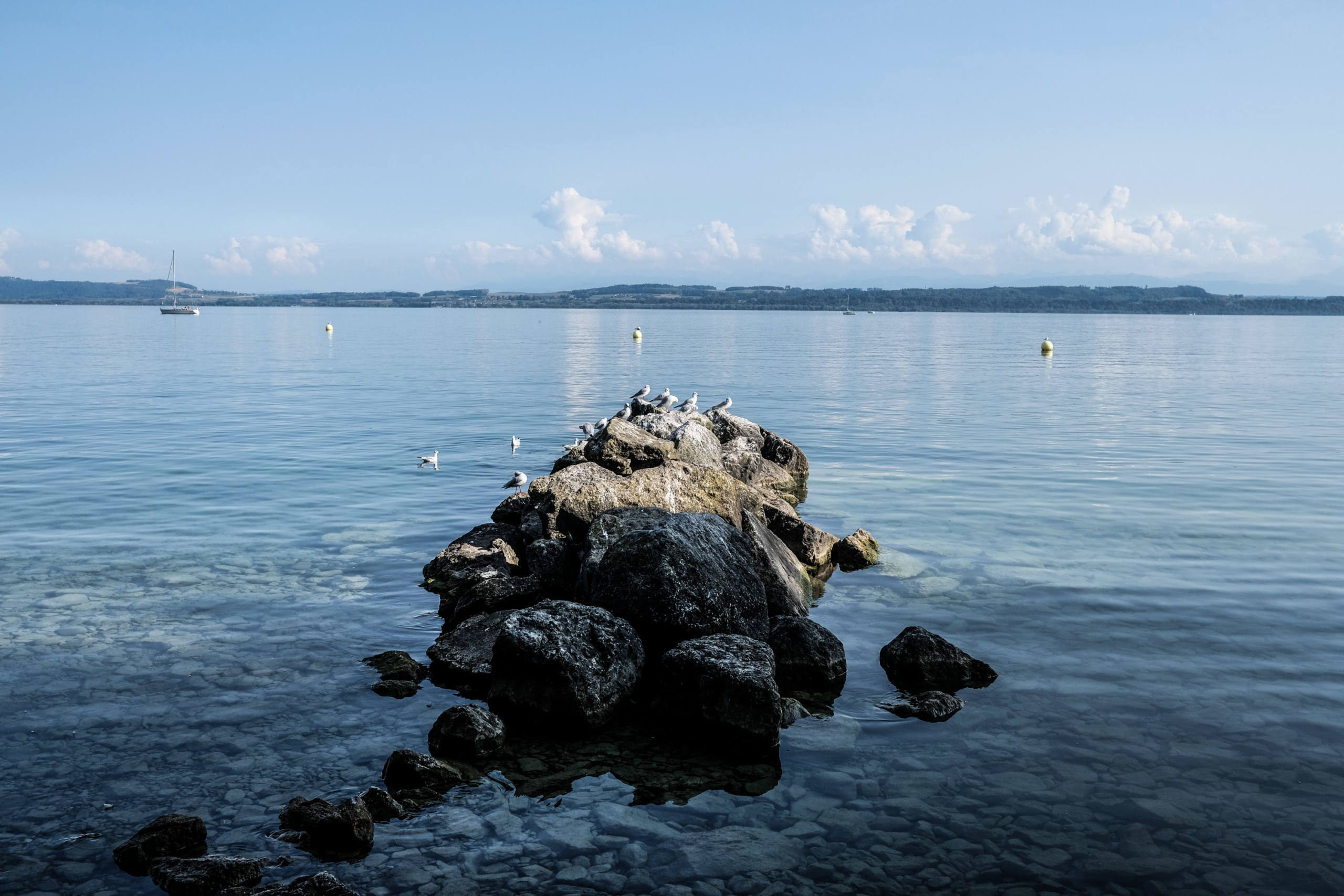 Neuchatouille par Julie Fourel