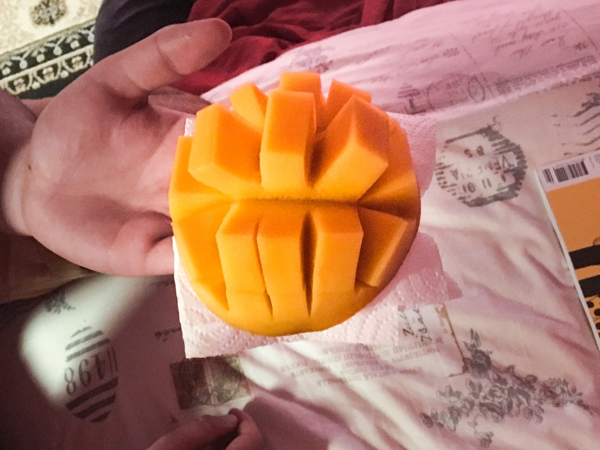 Mango season, the best time of the year! par Anna Salzmann