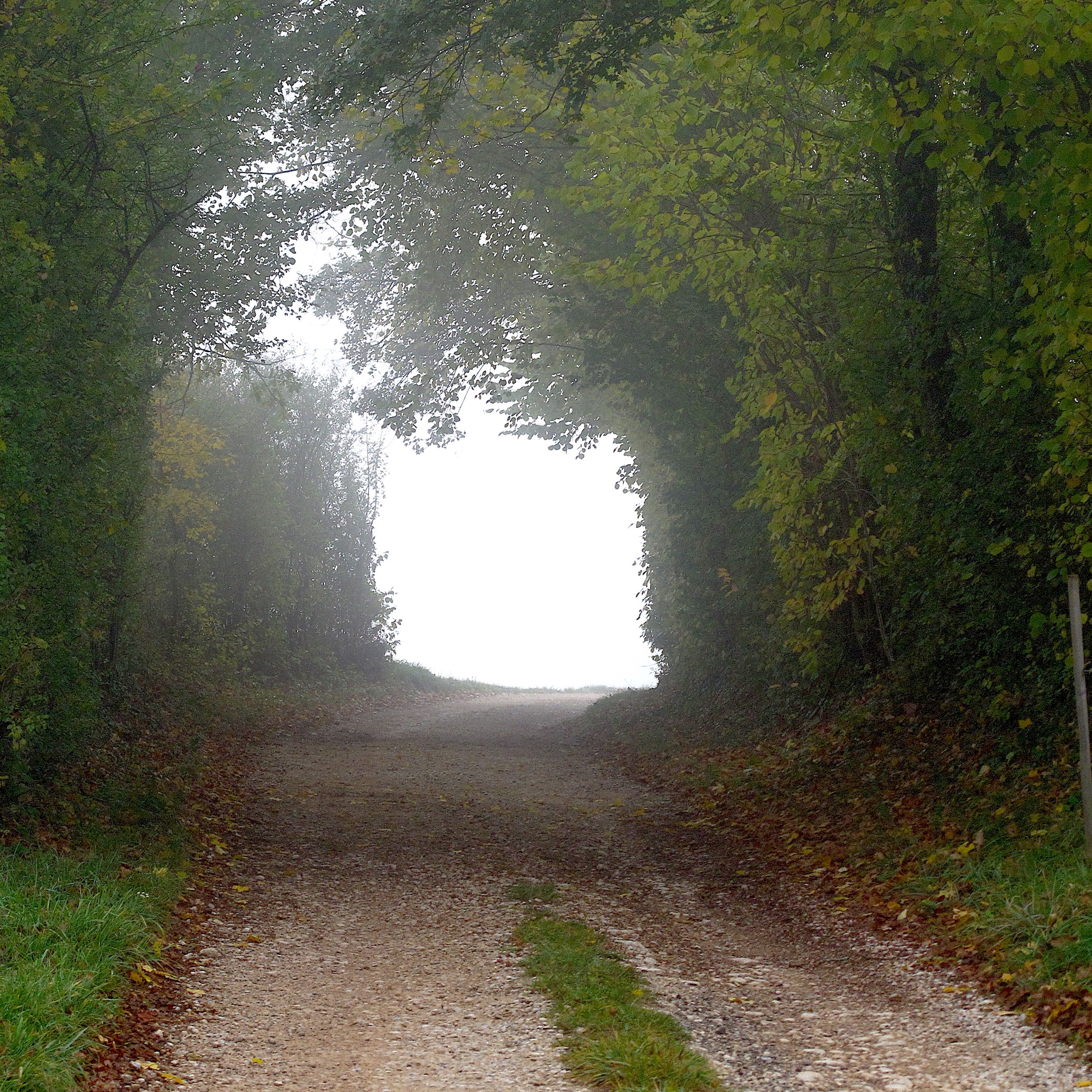 La porte des brumes par Catherine Claude