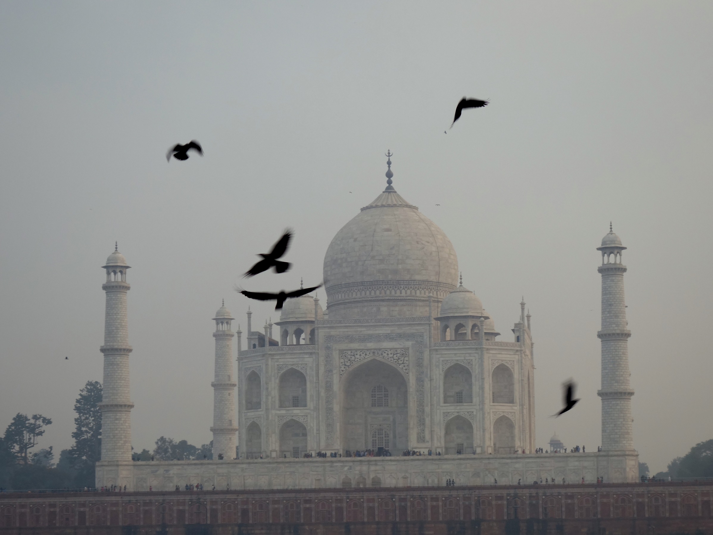 Taj Mahal – vu du nord le soir par John Grinling