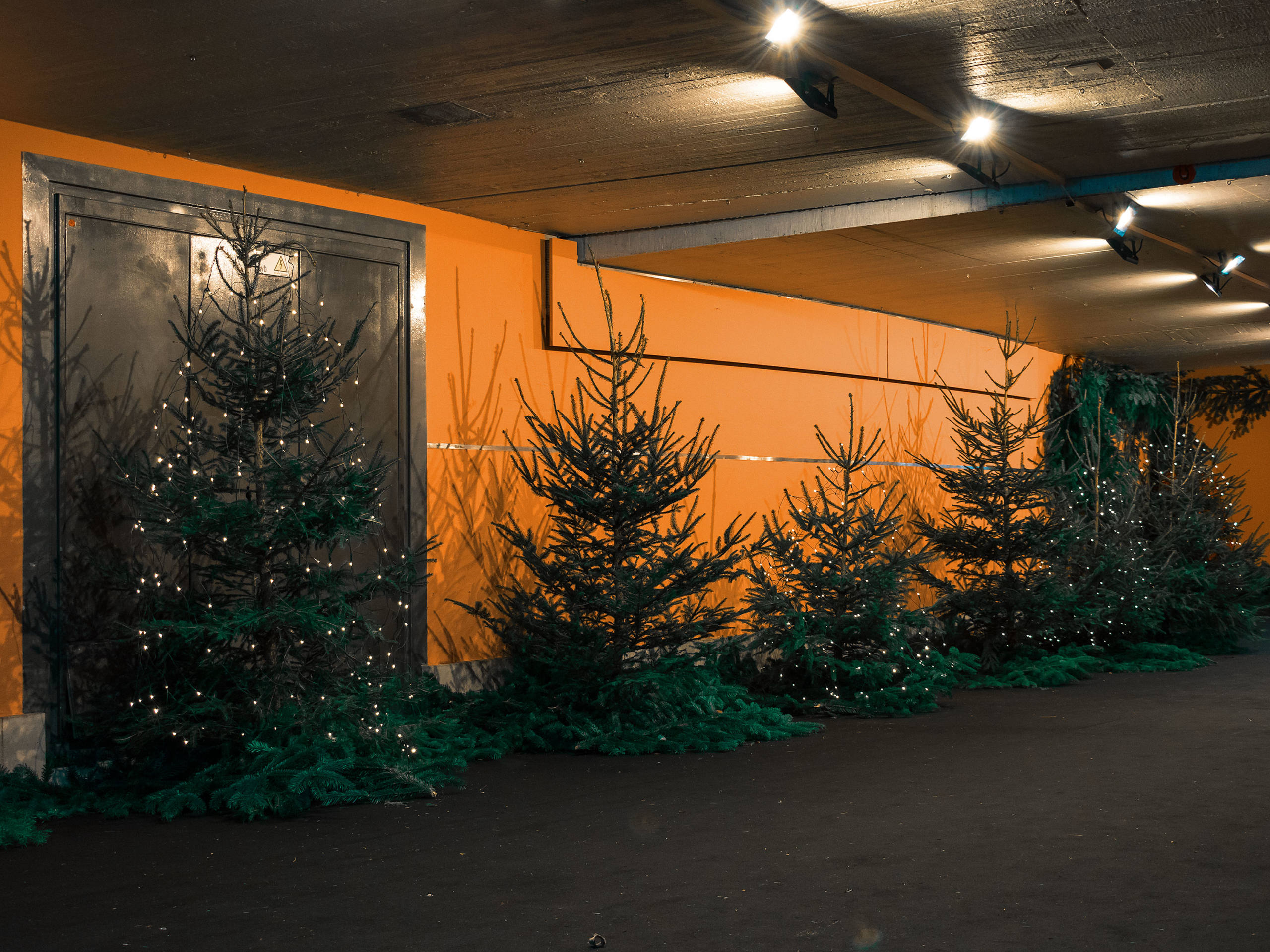 …de sapins heureux par Basil Huwyler