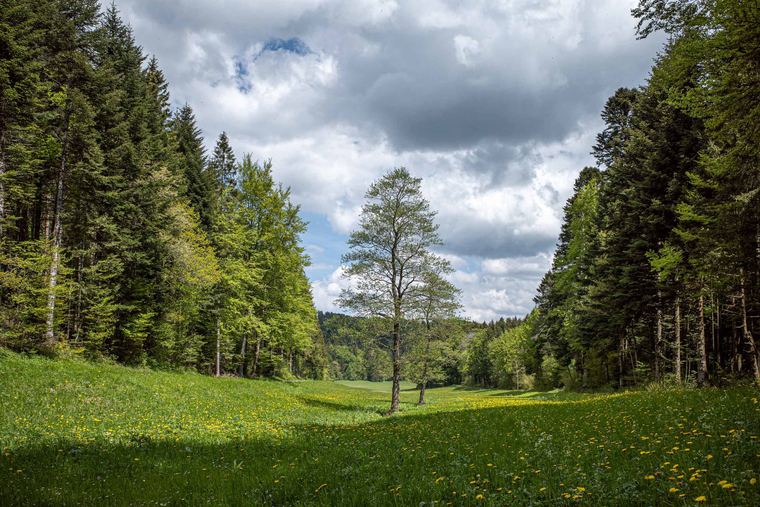 22/05/2019 par Francis Traunig