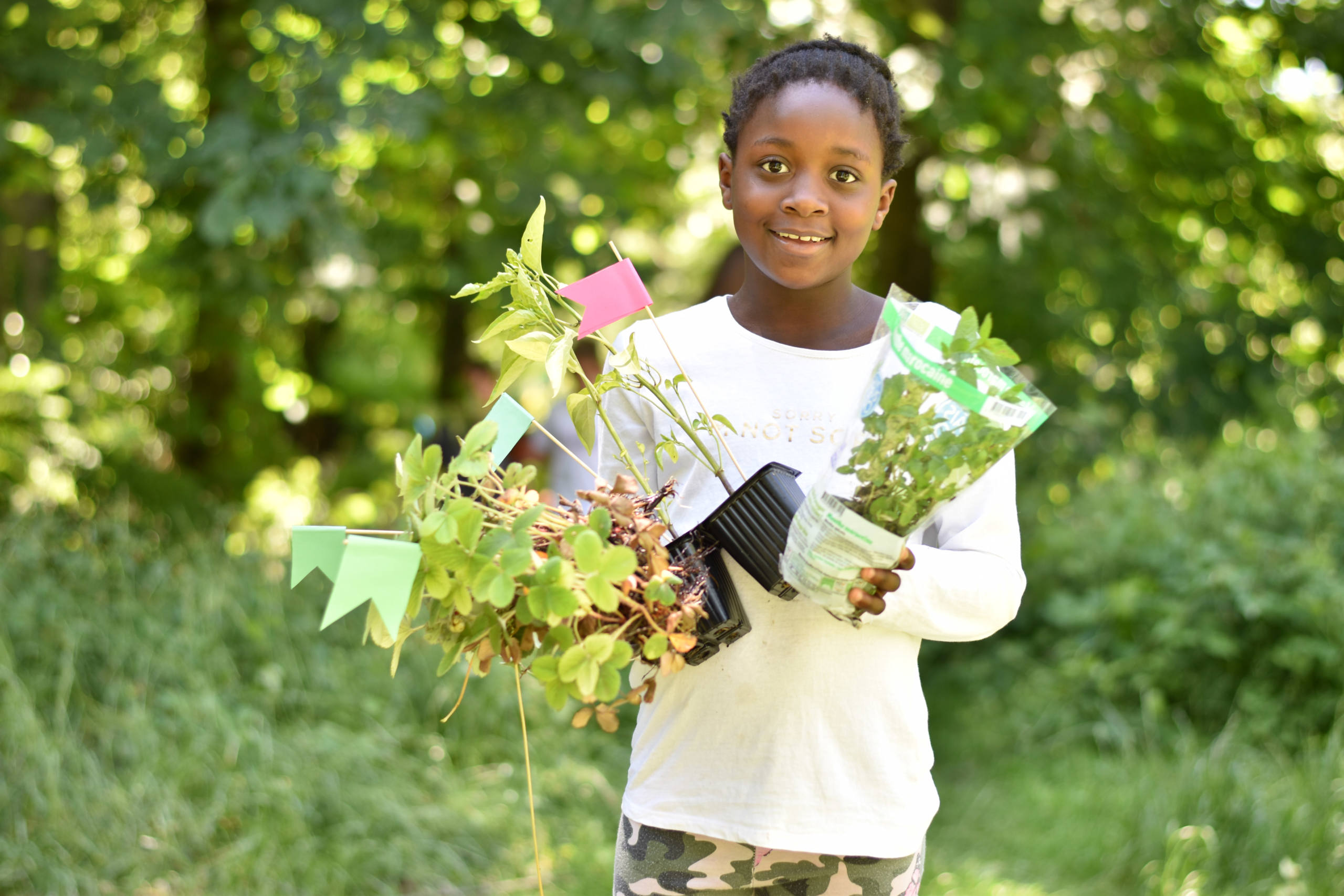 Chasse aux plantons par Justine Grespan