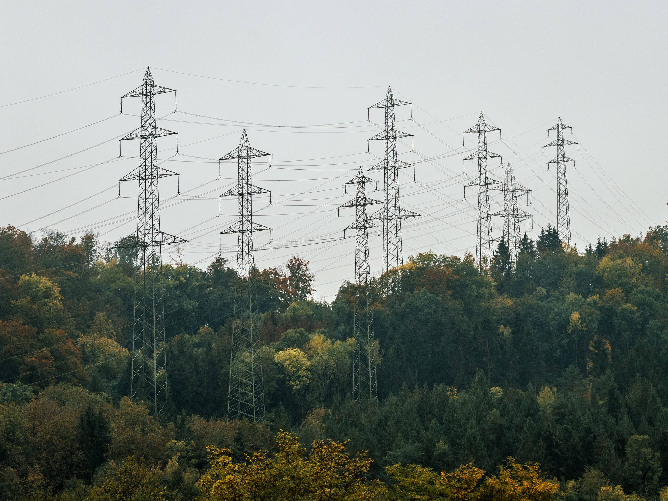 Arbres d’automne par Basil Huwyler