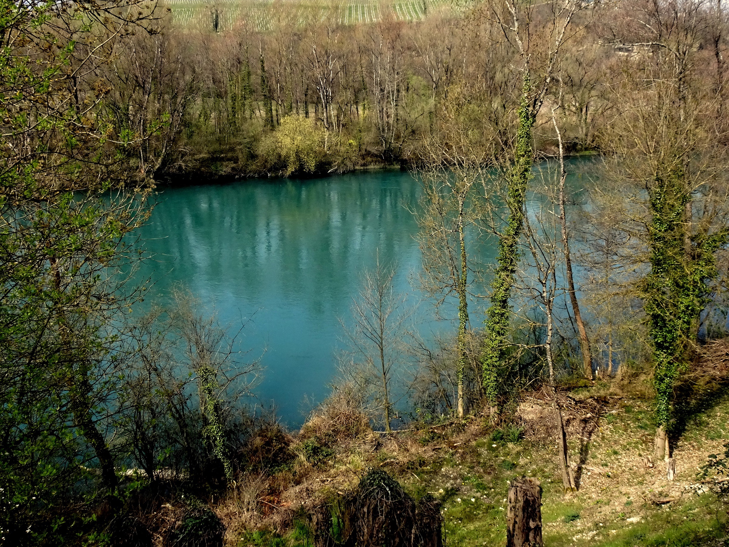 le Rhône par John Grinling