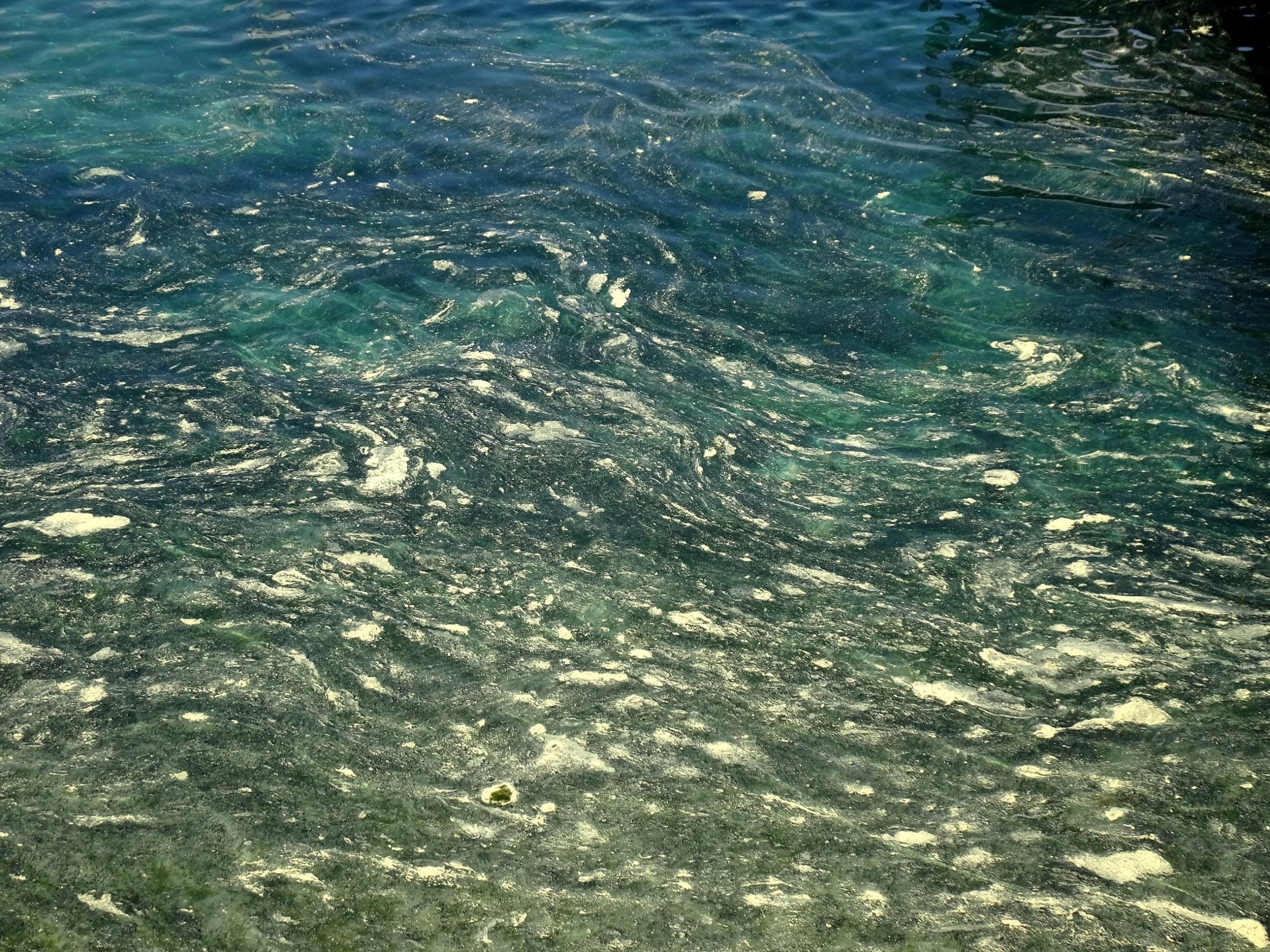 les eaux du Rhône par John Grinling