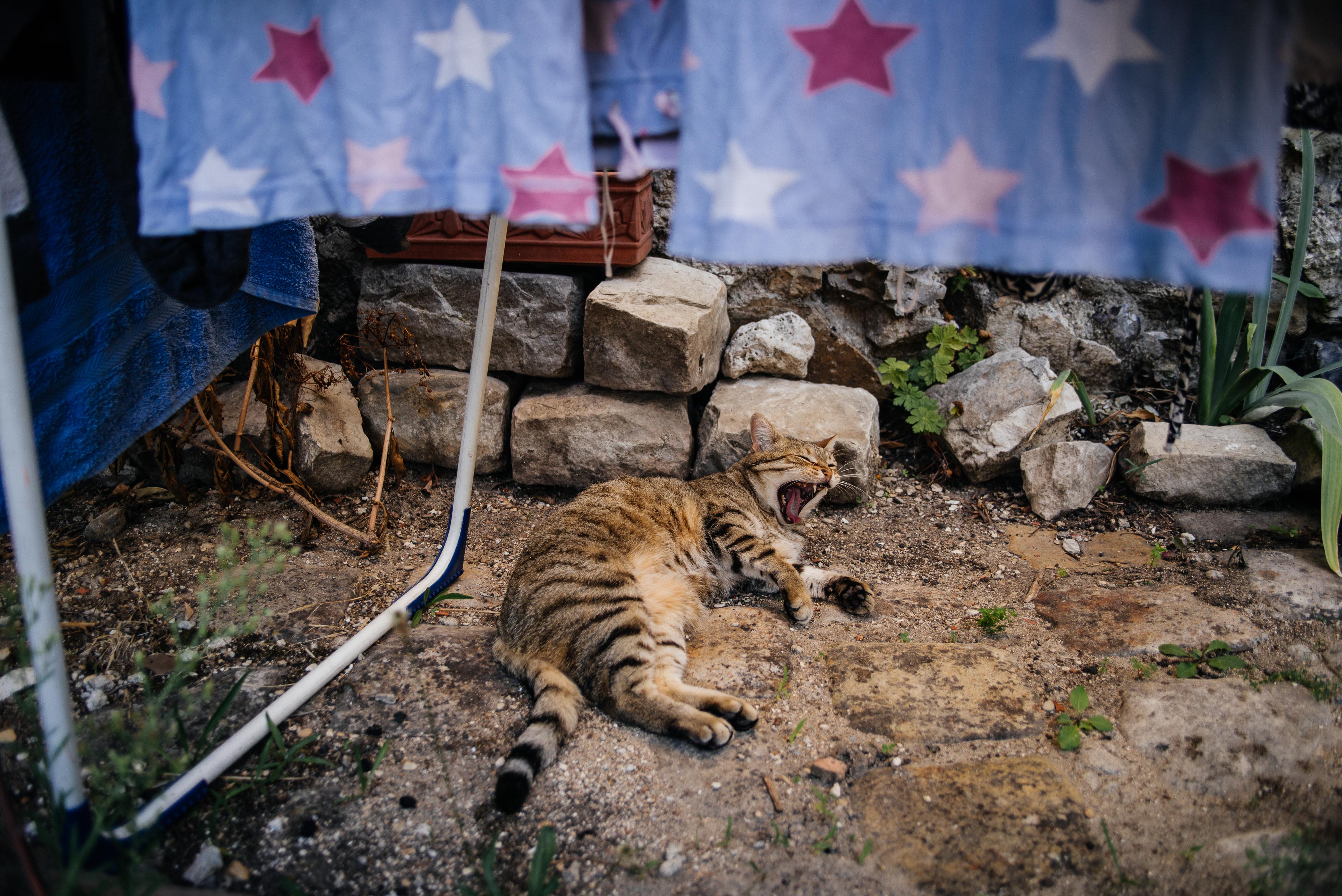 la fatigue par Pierre Montant