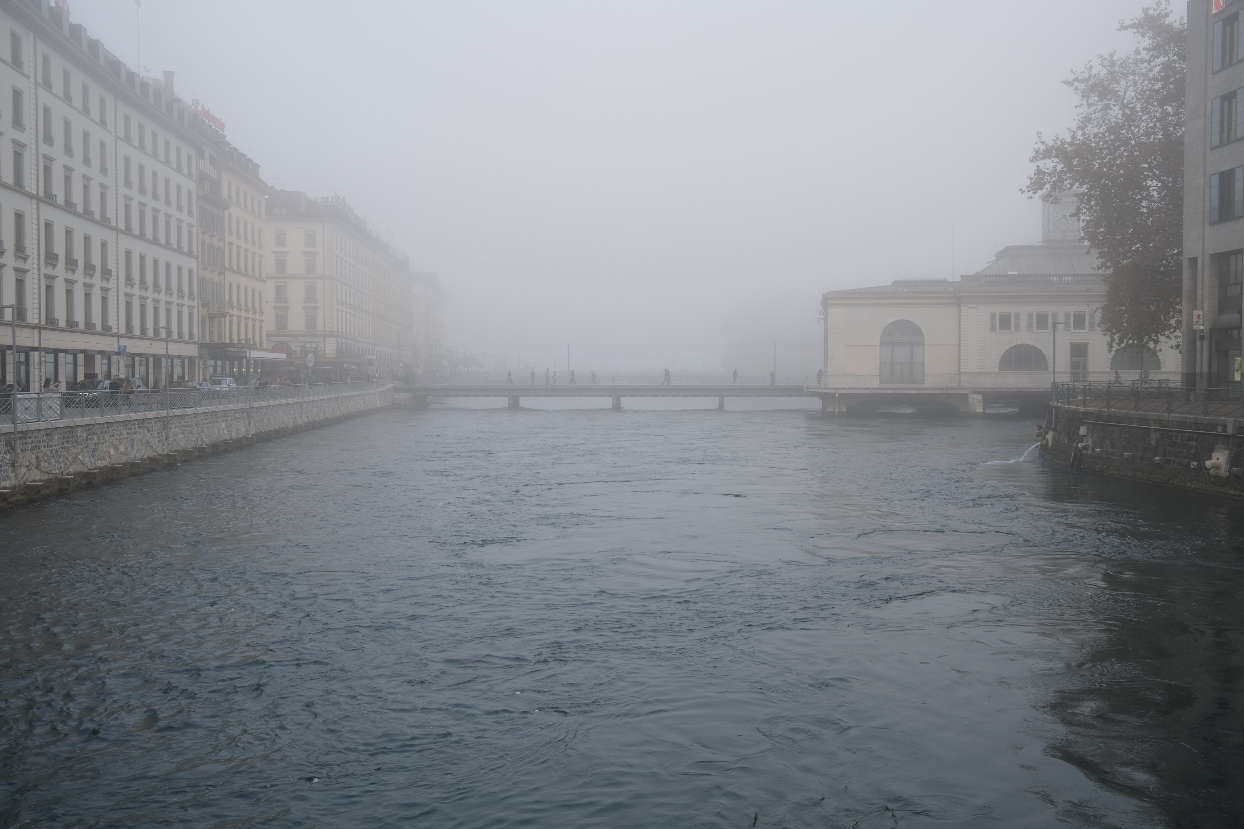 Fog par Justine Grespan