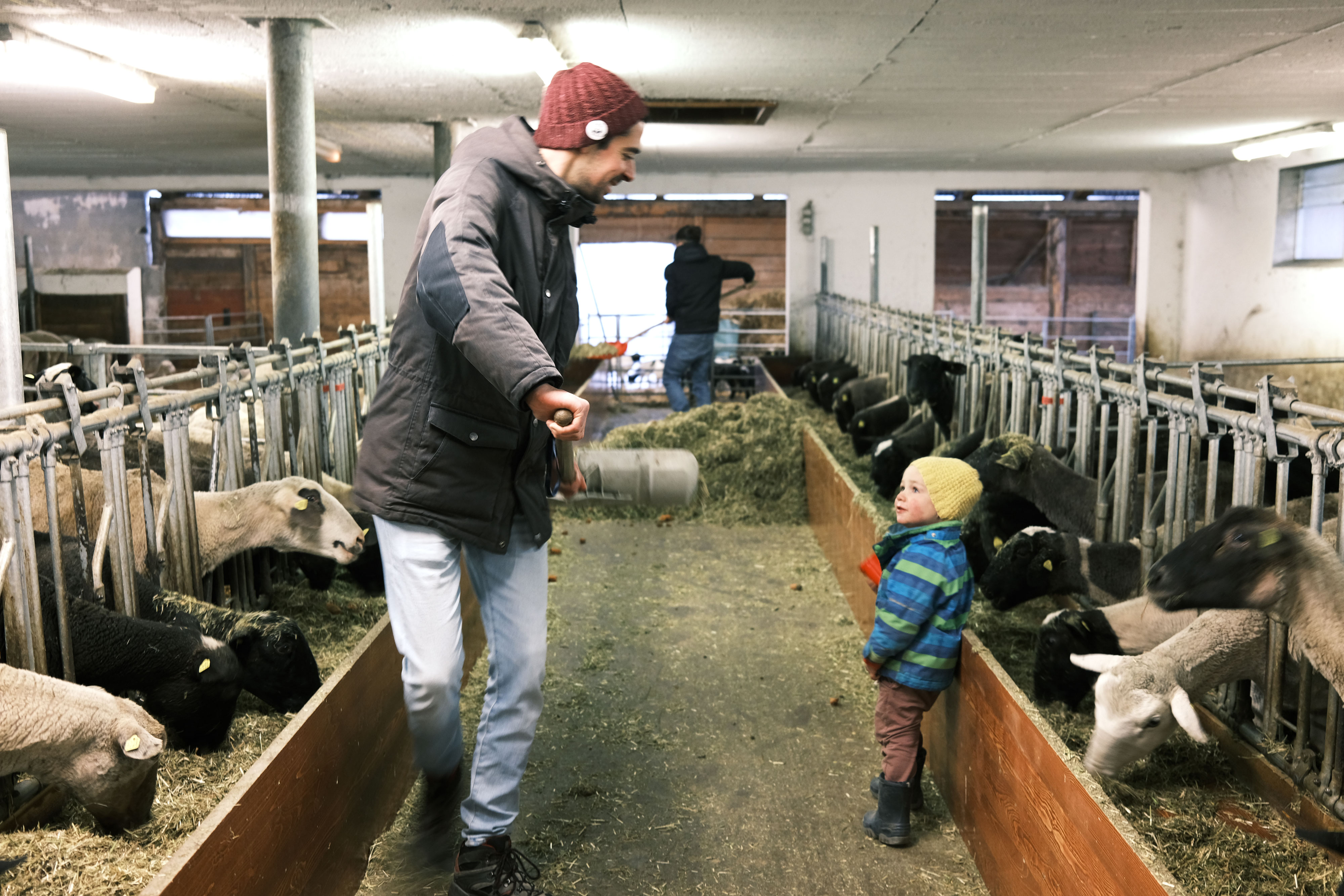 Rencontre à la ferme par Justine Grespan