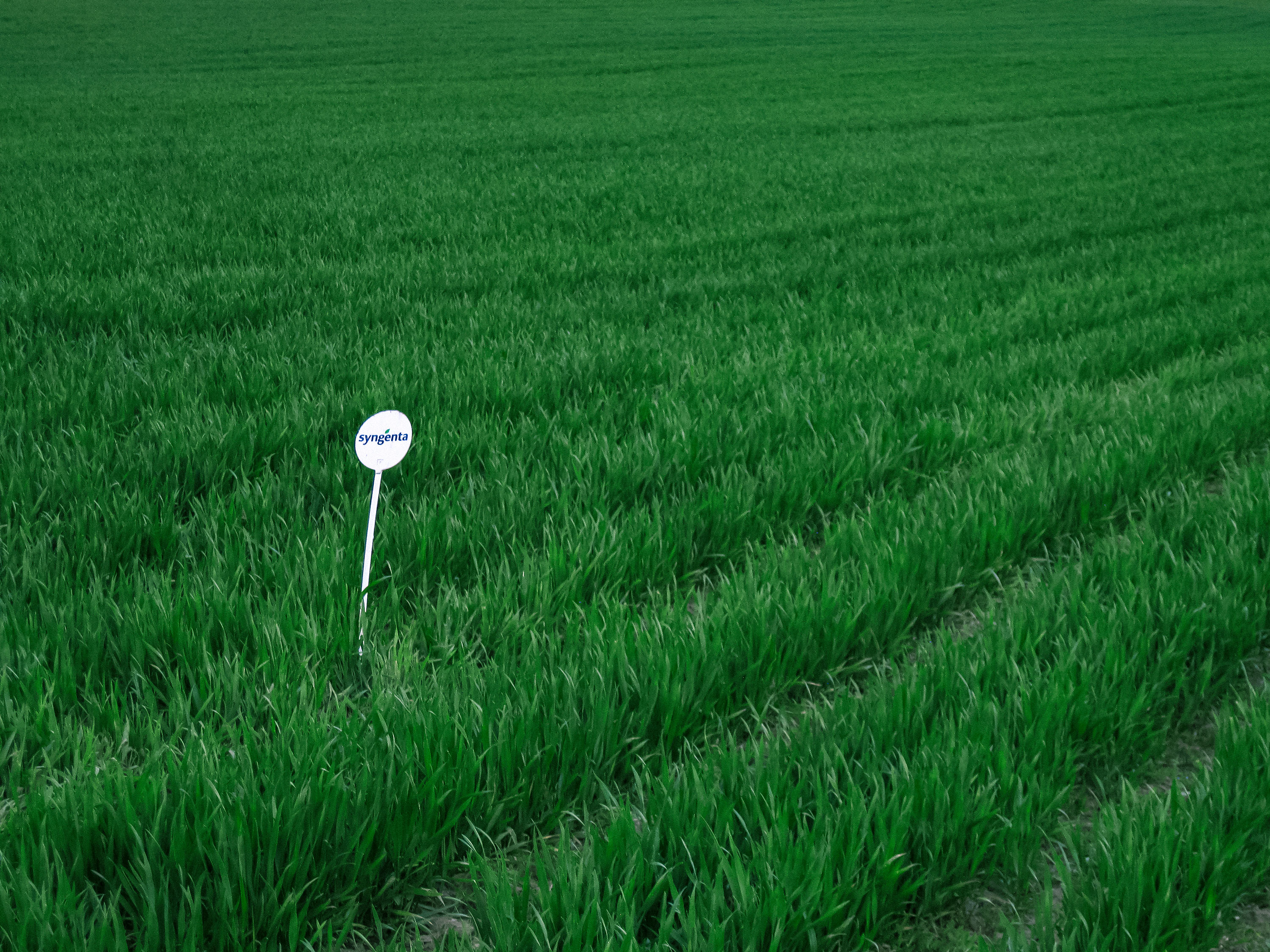 «Transforming the future of farming» par Basil Huwyler