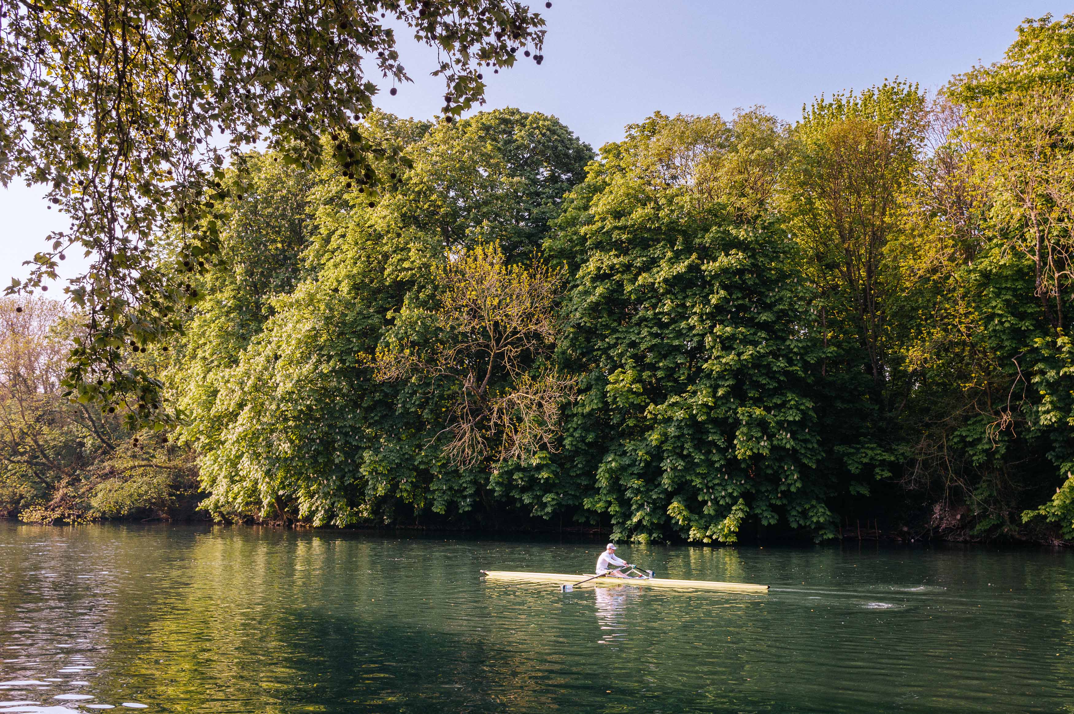 nature, 3 par Pierre Montant