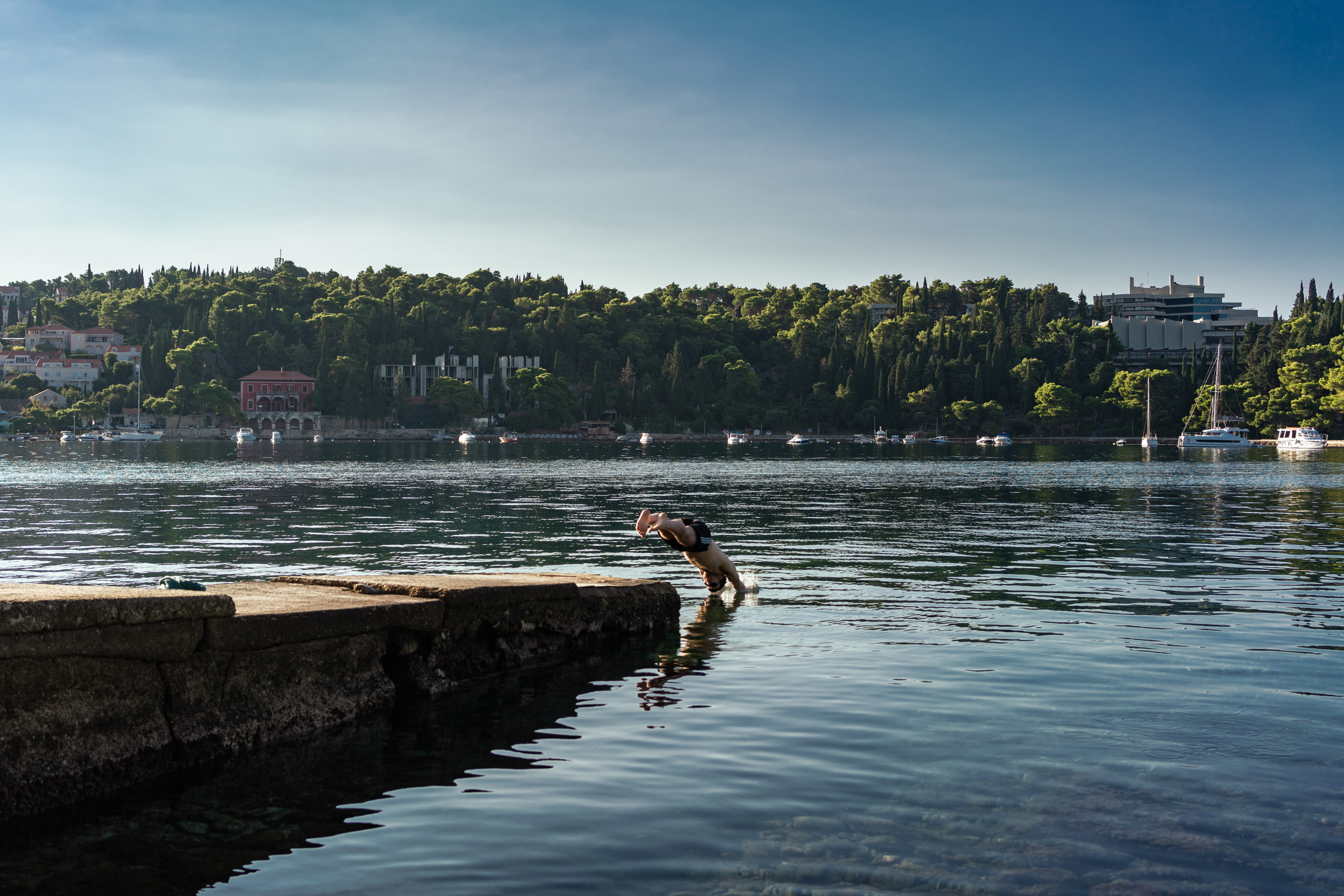 Morning dip par Anna Salzmann