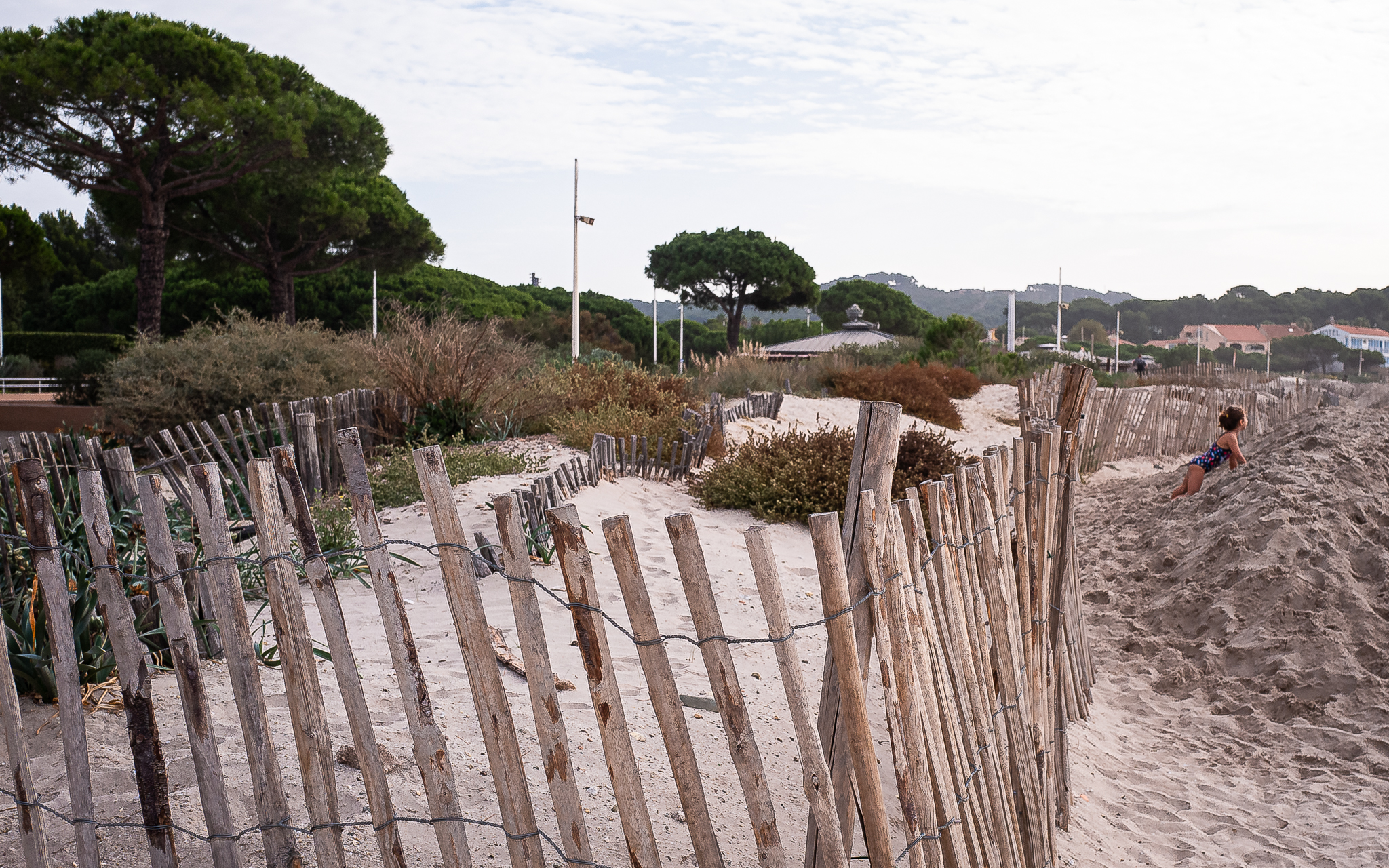 Dune par Gérard Dubois