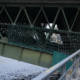 Les ponts de Paris (photojournala__e 1519) par Anne Wyrsch