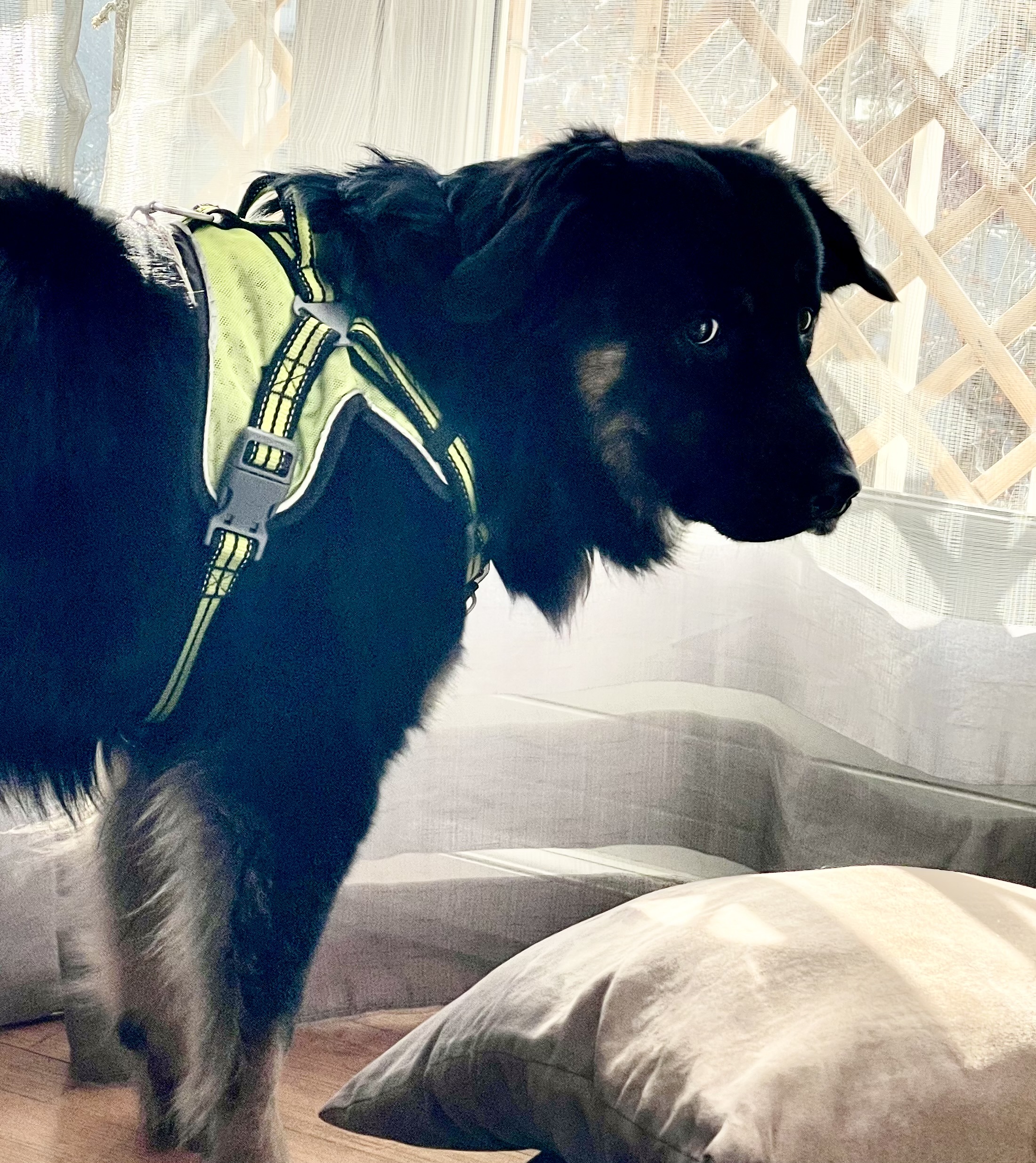 16/12/2023 par Magali