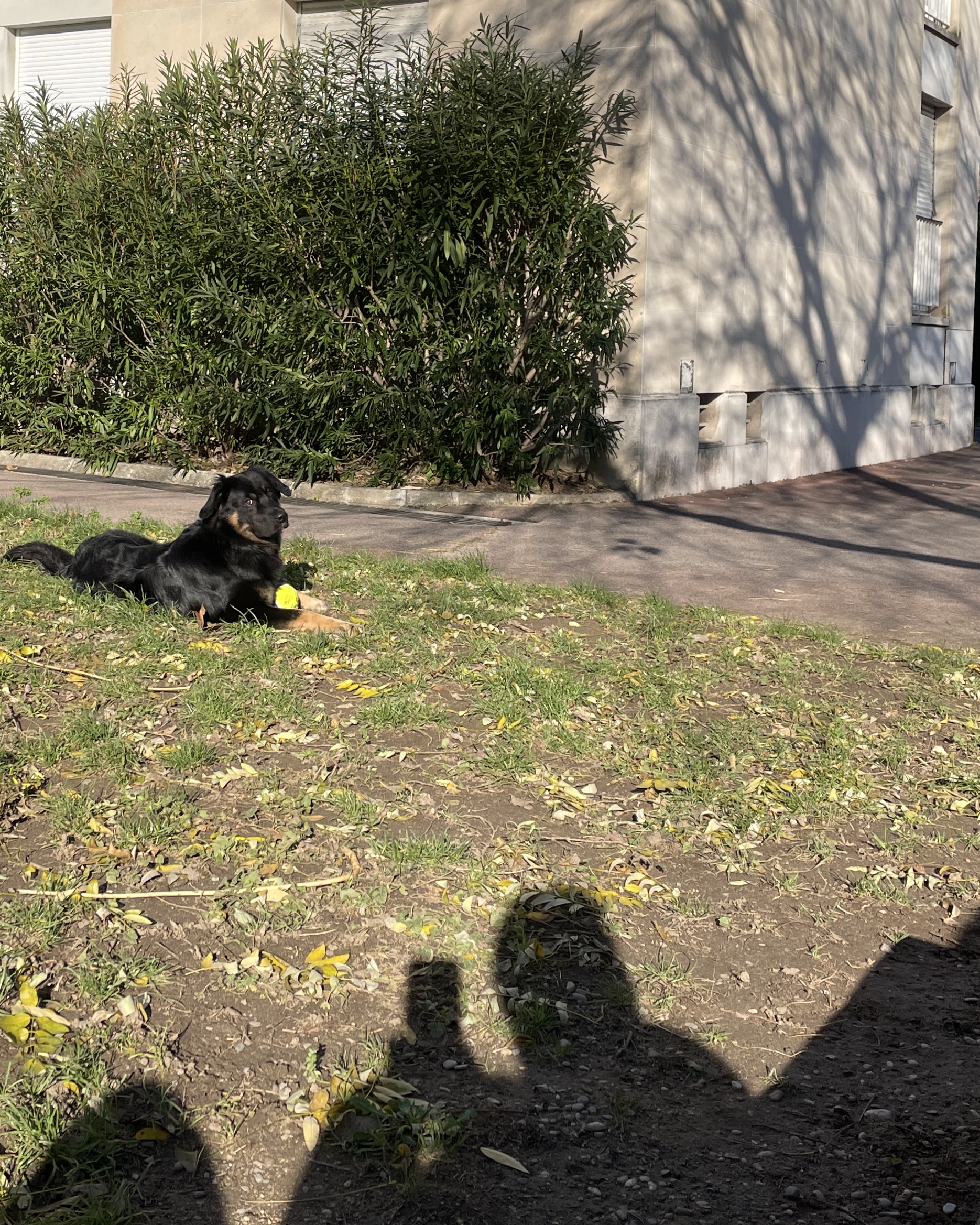 17/12/2023 par Magali