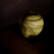 La pomme de nuit (photojournala__e 1779) par Anne Wyrsch