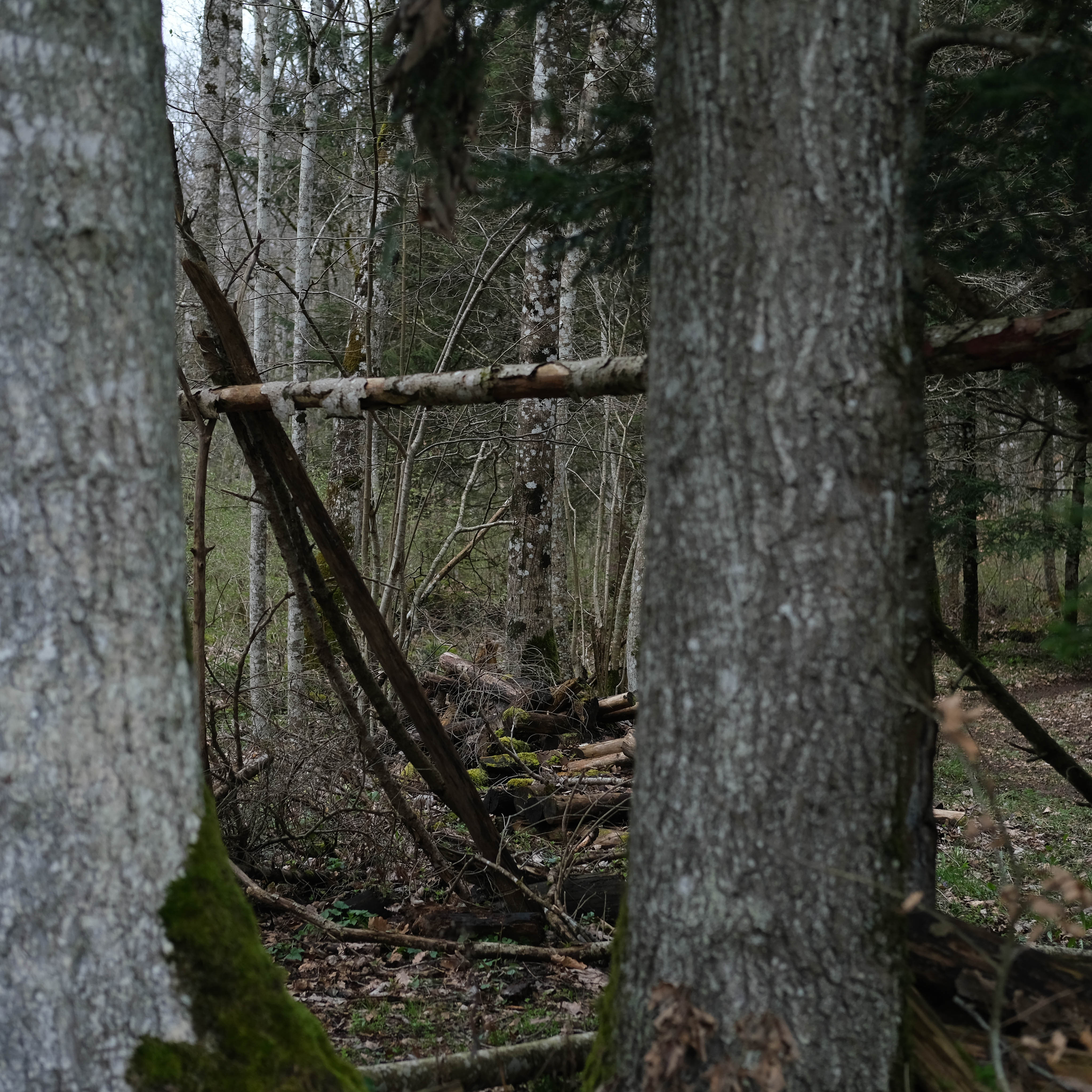 Cabane aléatoire (photojournala__e 1853) par Anne Wyrsch