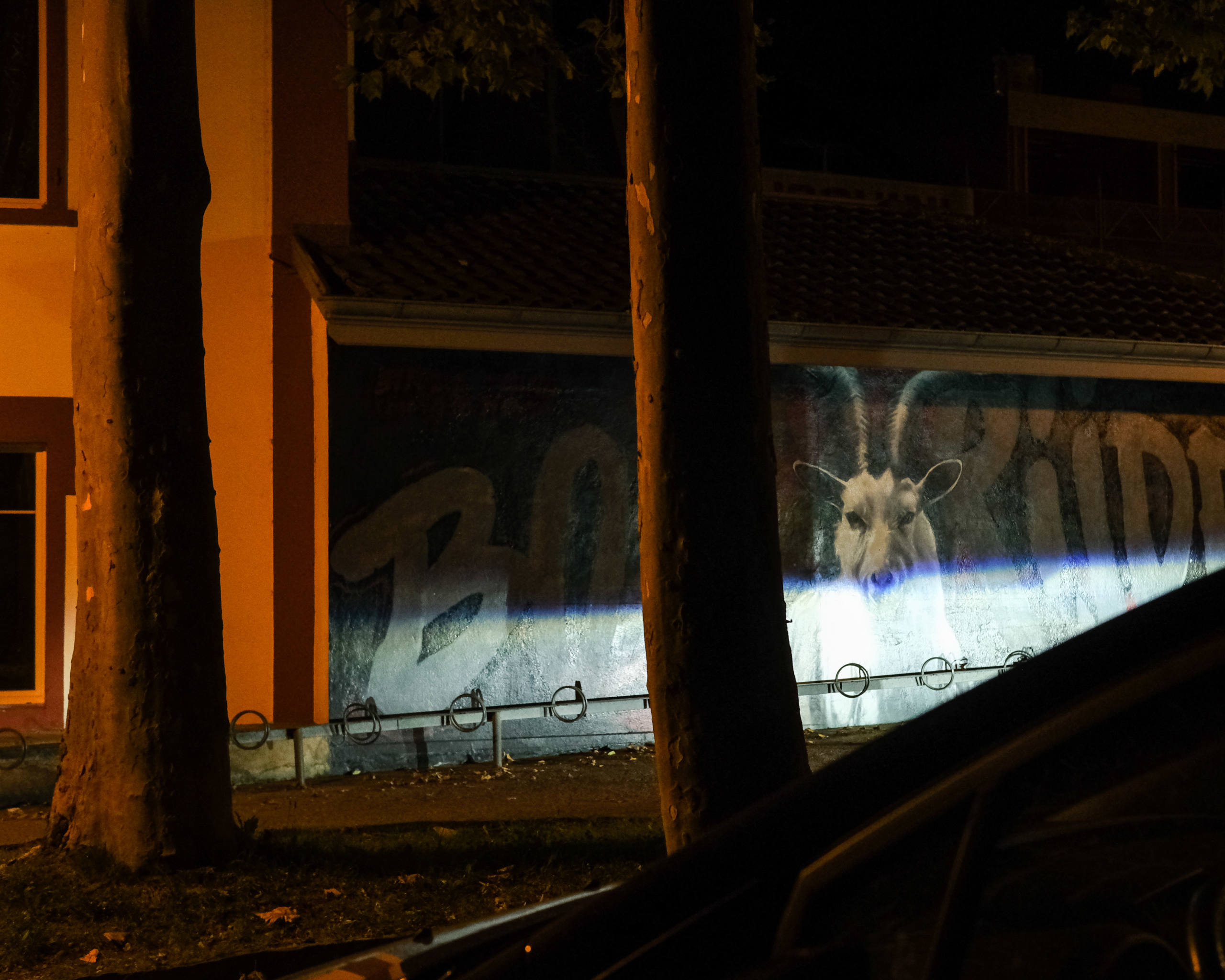 Bockrider (photojournala__e 2002) par Anne Wyrsch