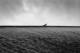 19/12/2024 par Gabriel Asper
